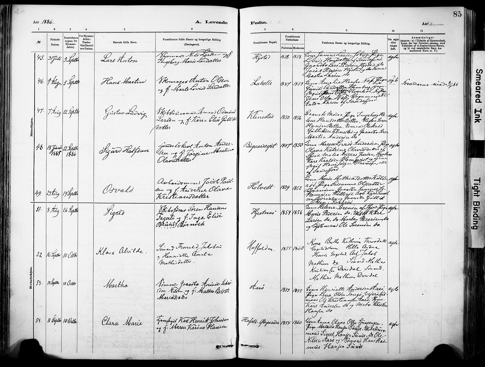 Sandar kirkebøker, SAKO/A-243/F/Fa/L0012: Parish register (official) no. 12, 1883-1895, p. 85