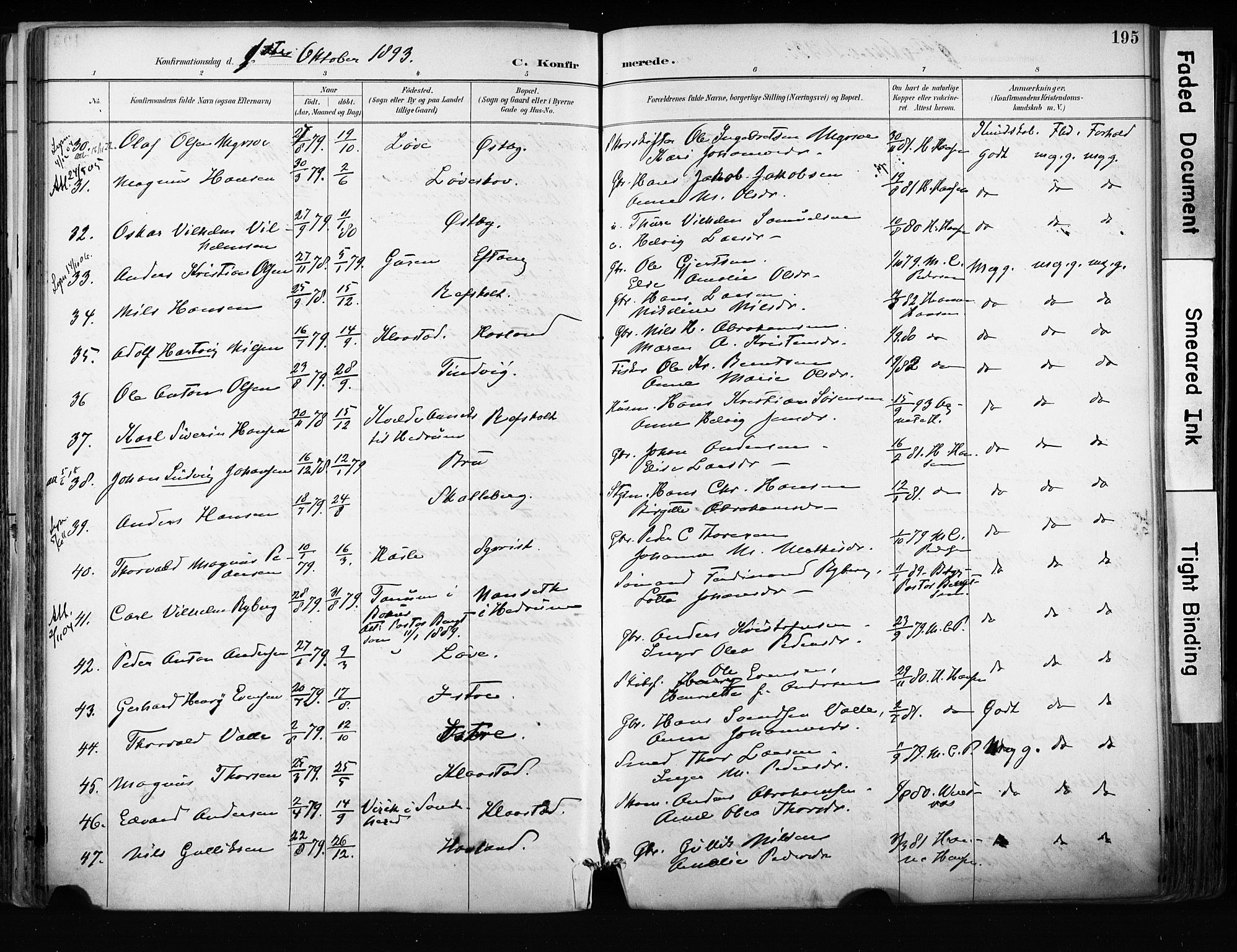 Tjølling kirkebøker, AV/SAKO-A-60/F/Fa/L0009: Parish register (official) no. 9, 1887-1905, p. 195