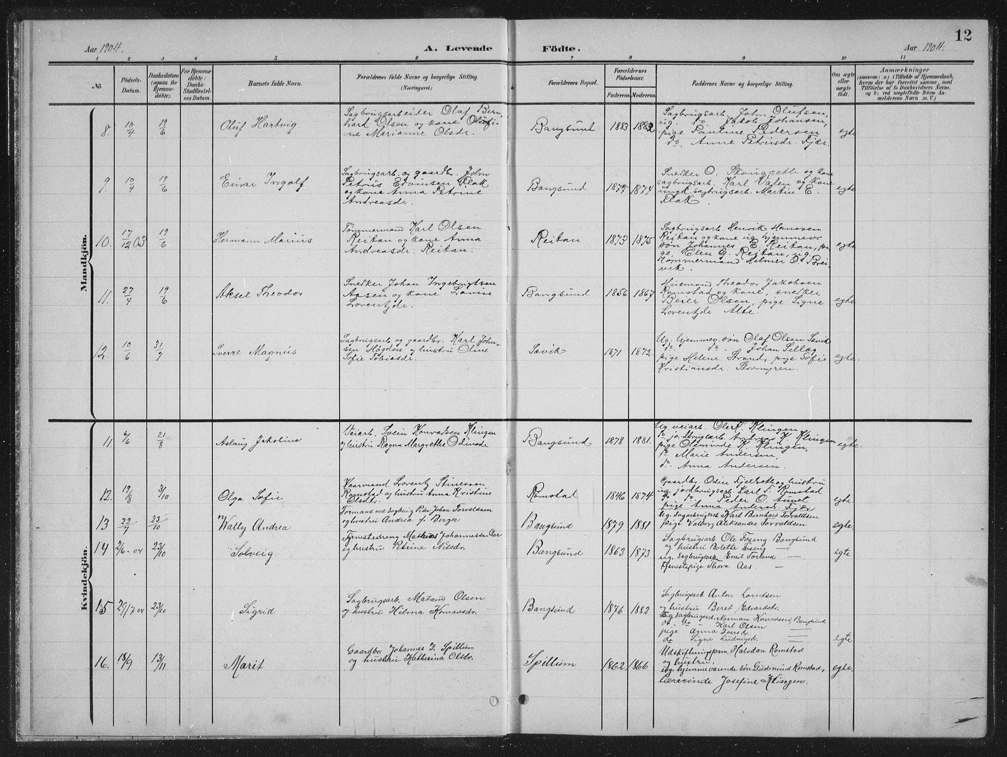 Ministerialprotokoller, klokkerbøker og fødselsregistre - Nord-Trøndelag, AV/SAT-A-1458/770/L0591: Parish register (copy) no. 770C02, 1902-1940, p. 12