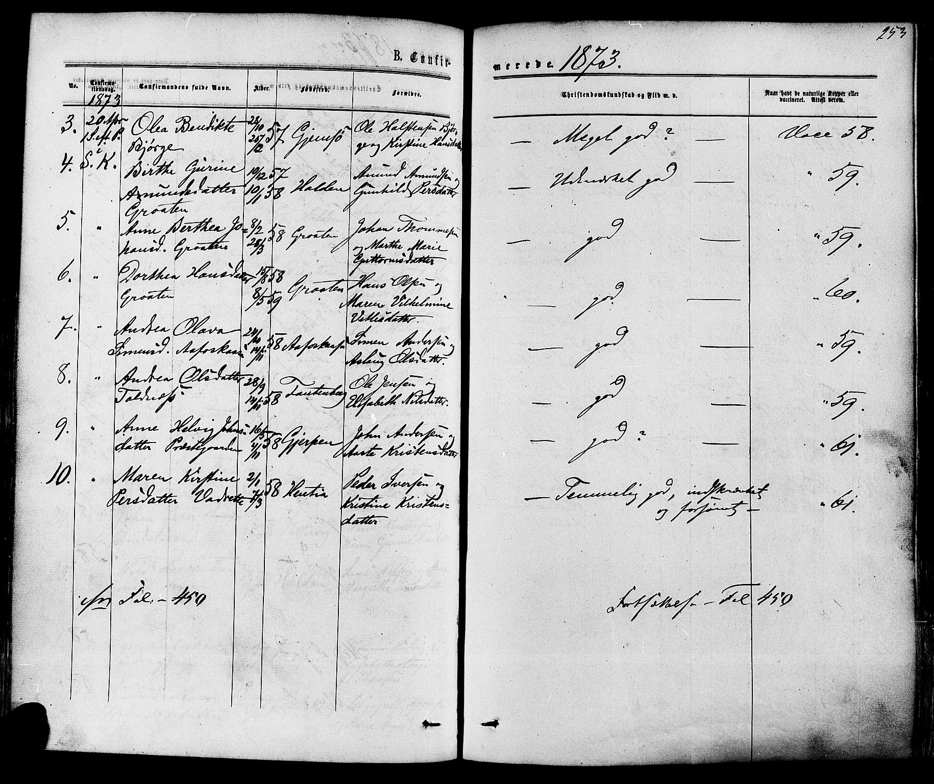 Solum kirkebøker, AV/SAKO-A-306/F/Fa/L0008: Parish register (official) no. I 8, 1865-1876, p. 253