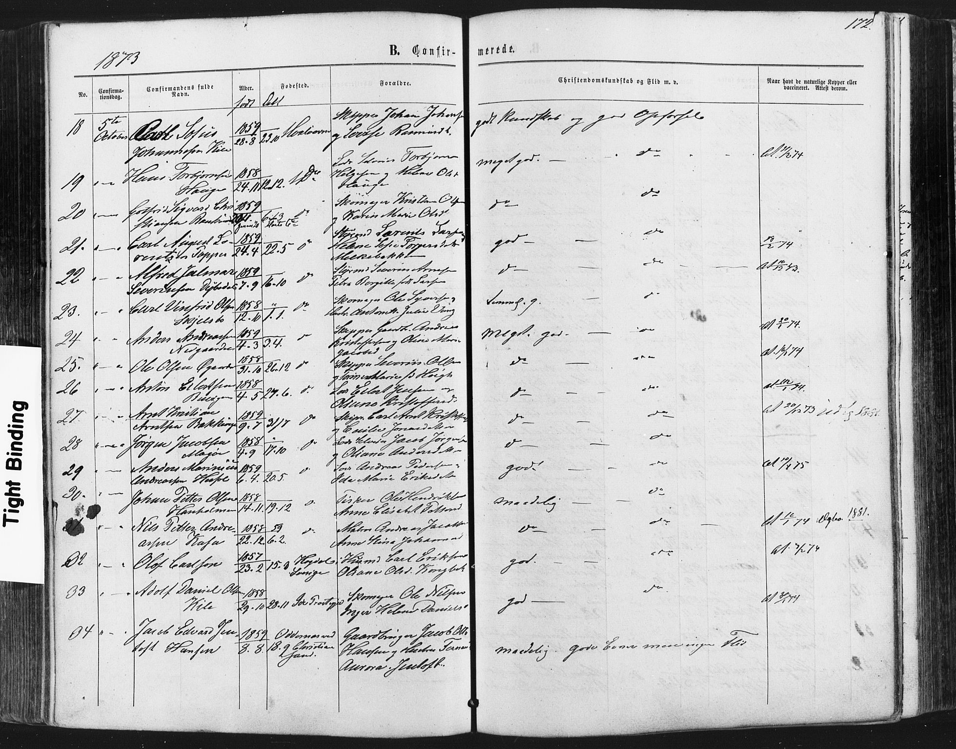 Hvaler prestekontor Kirkebøker, AV/SAO-A-2001/F/Fa/L0007: Parish register (official) no. I 7, 1864-1878, p. 172