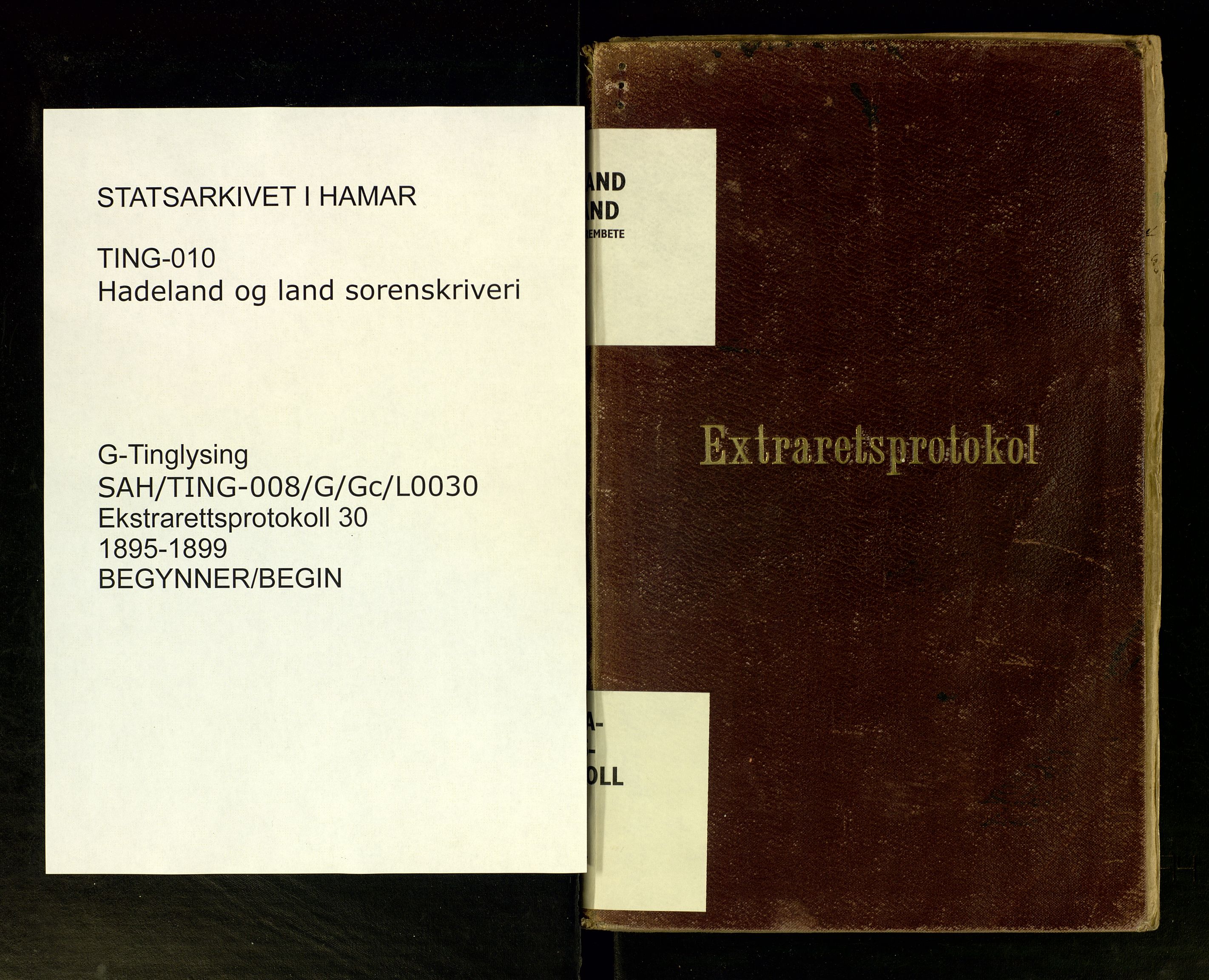 Hadeland og Land tingrett, SAH/TING-010/G/Gc/L0030: Ekstrarettsprotokoll, 1895-1899