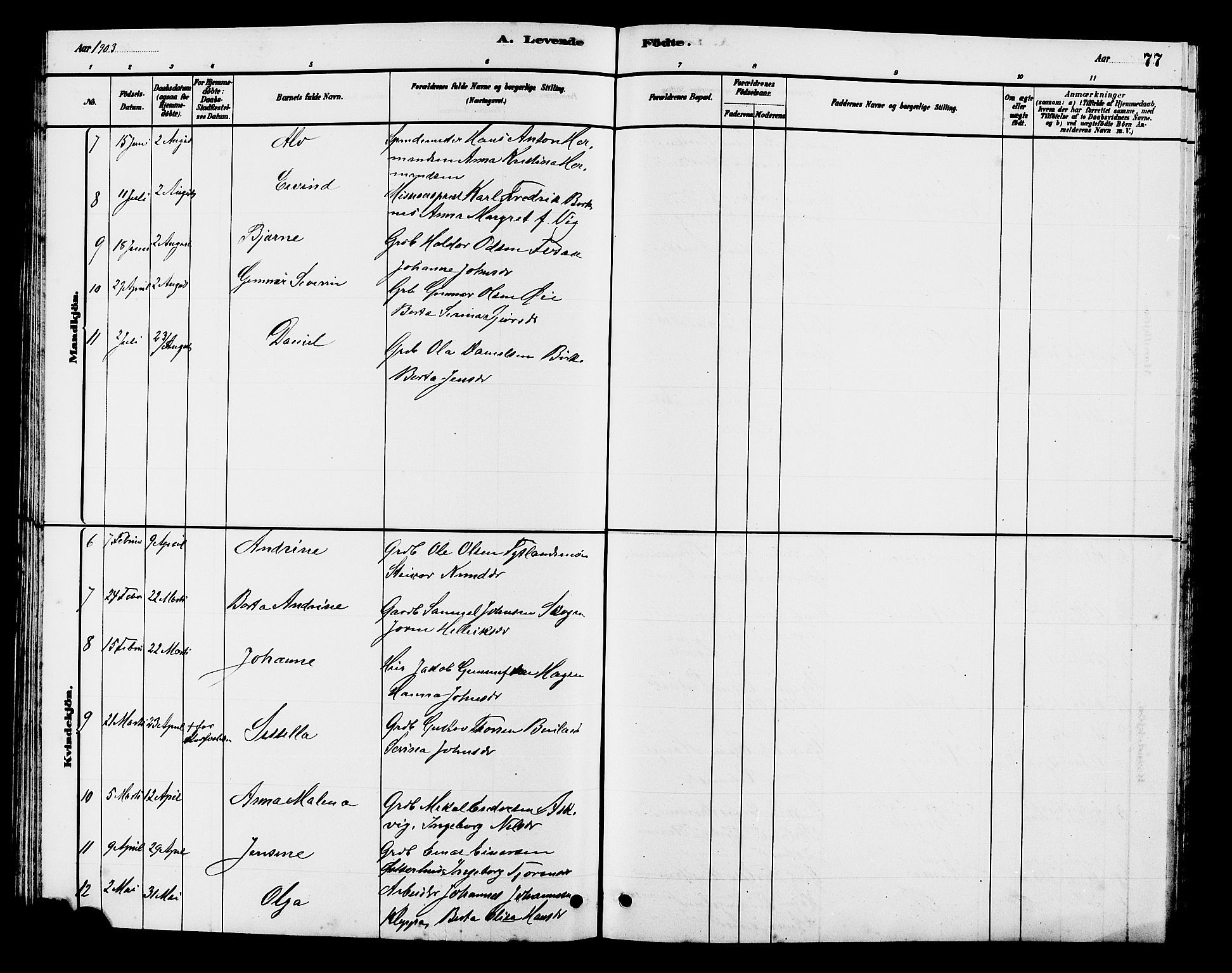 Hjelmeland sokneprestkontor, AV/SAST-A-101843/01/V/L0007: Parish register (copy) no. B 7, 1880-1909, p. 77