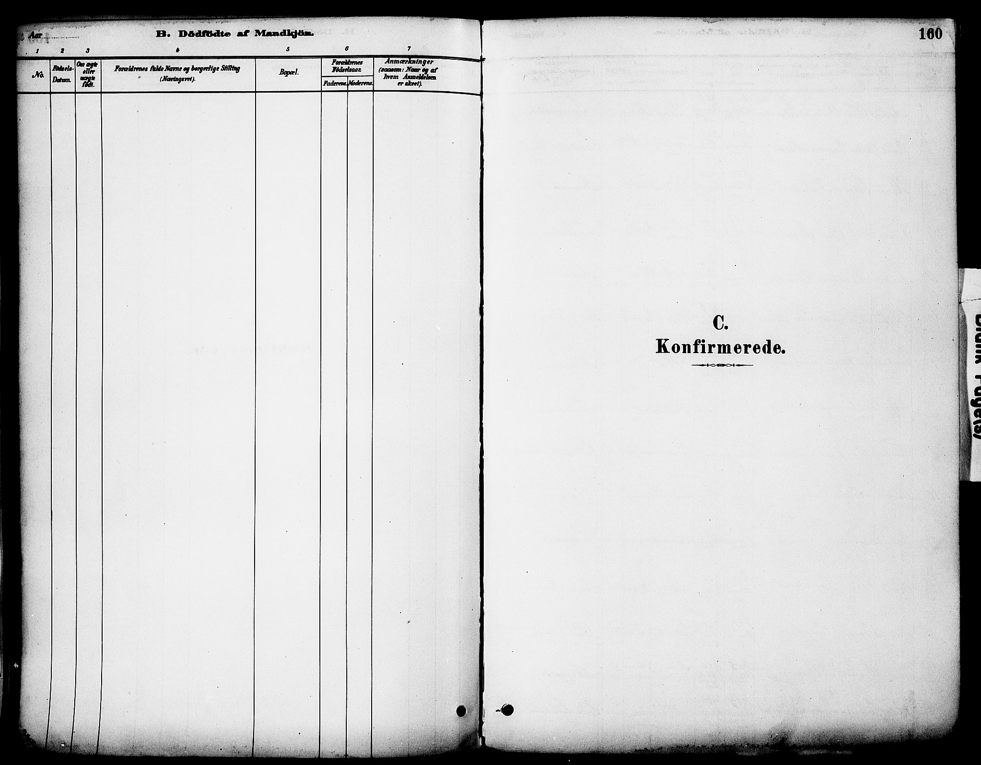 Stange prestekontor, SAH/PREST-002/K/L0017: Parish register (official) no. 17, 1880-1893, p. 160