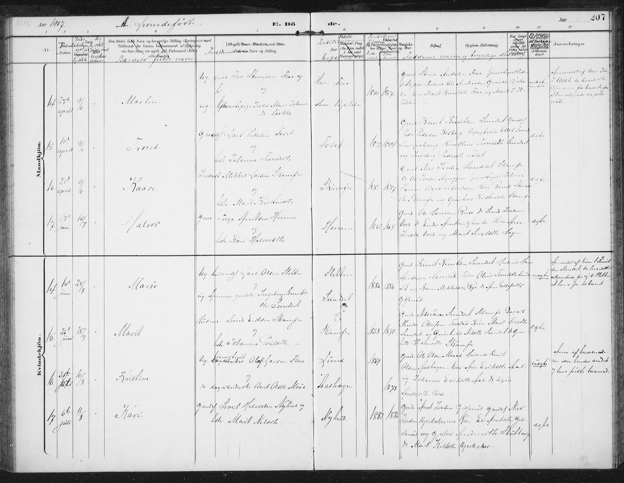 Ministerialprotokoller, klokkerbøker og fødselsregistre - Sør-Trøndelag, AV/SAT-A-1456/674/L0872: Parish register (official) no. 674A04, 1897-1907, p. 207