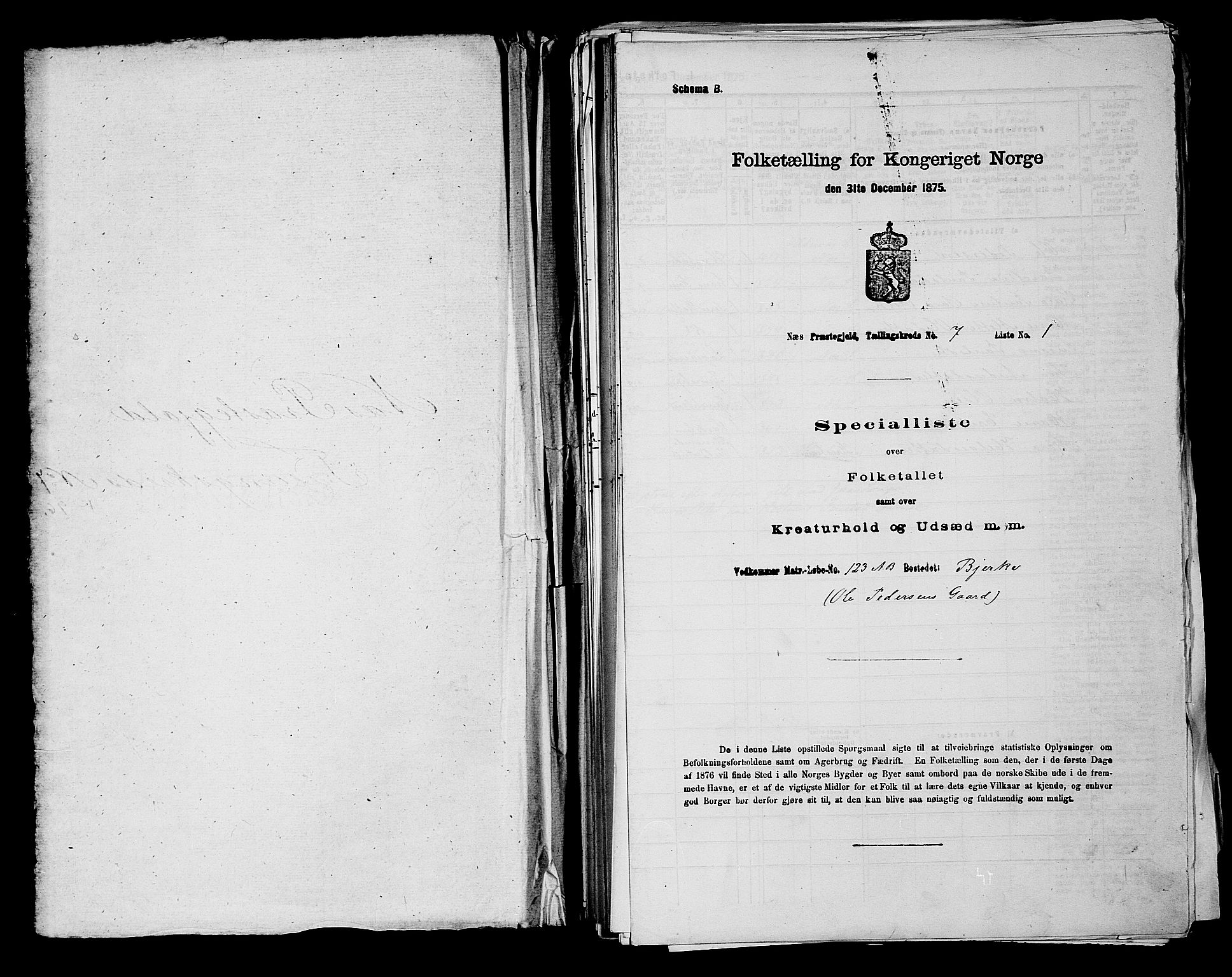 RA, 1875 census for 0236P Nes, 1875, p. 1027