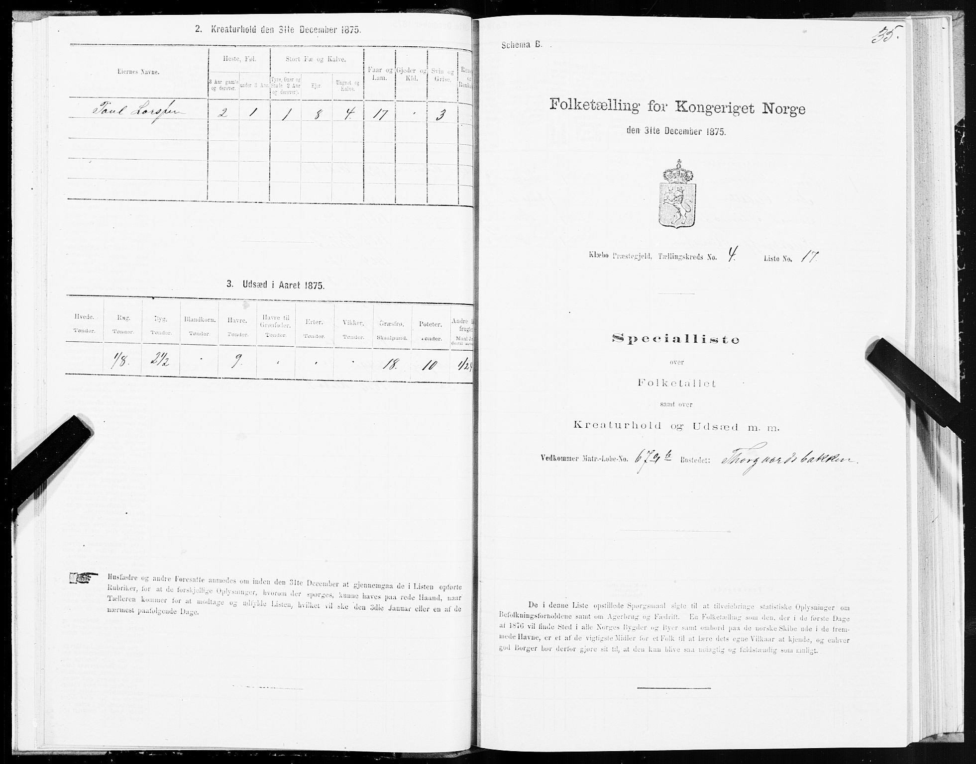 SAT, 1875 census for 1662P Klæbu, 1875, p. 2035