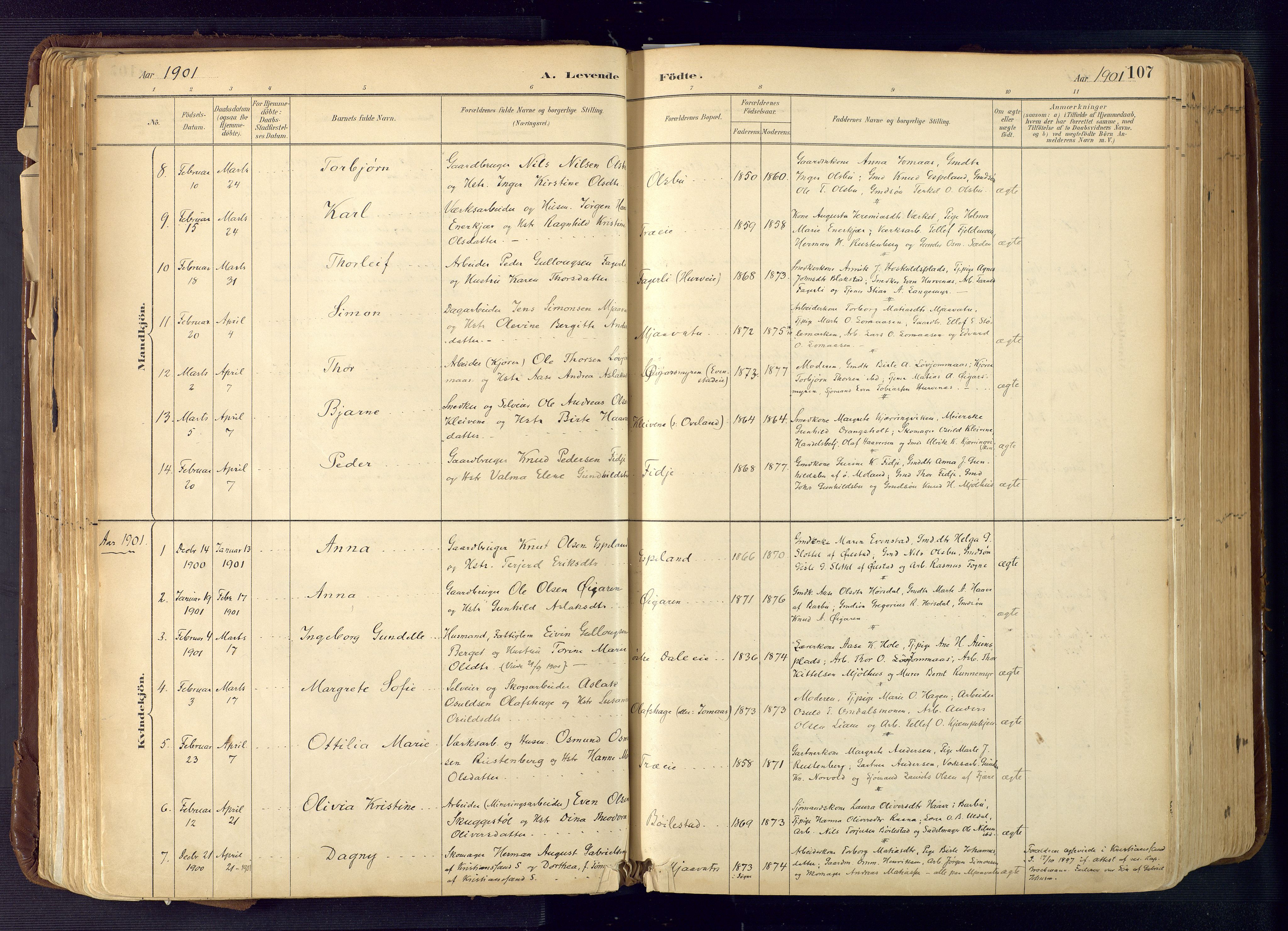 Froland sokneprestkontor, SAK/1111-0013/F/Fa/L0005: Parish register (official) no. A 5, 1882-1921, p. 107