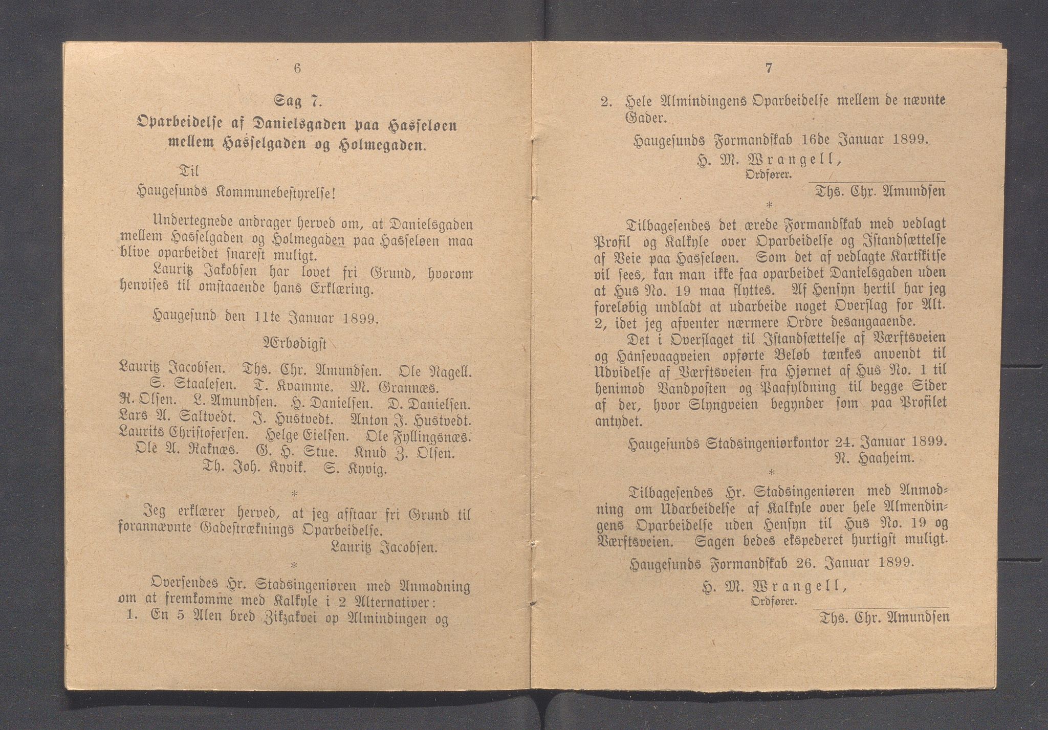 Haugesund kommune - Formannskapet og Bystyret, IKAR/A-740/A/Abb/L0001: Bystyreforhandlinger, 1889-1907, p. 226