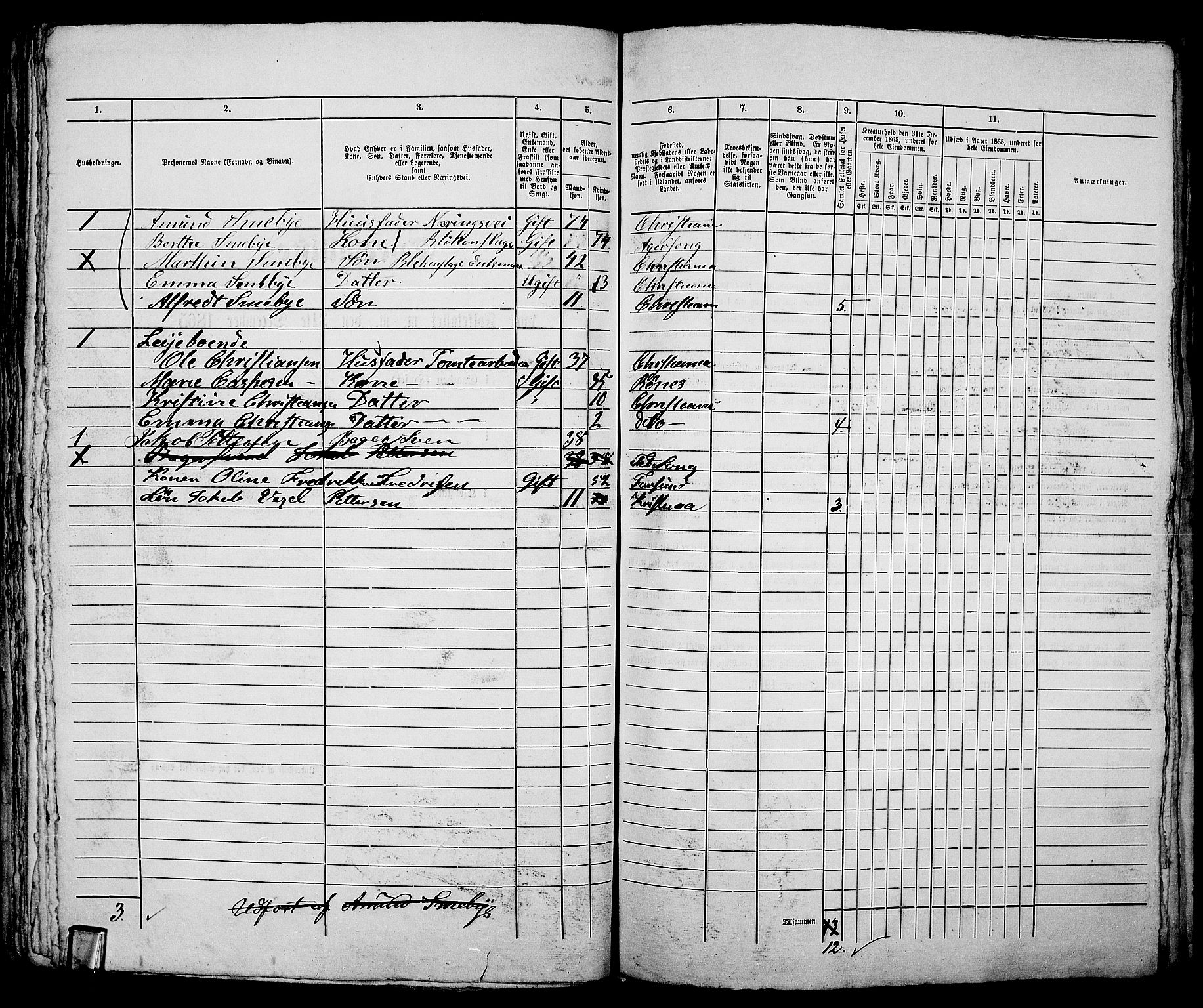 RA, 1865 census for Kristiania, 1865, p. 3368