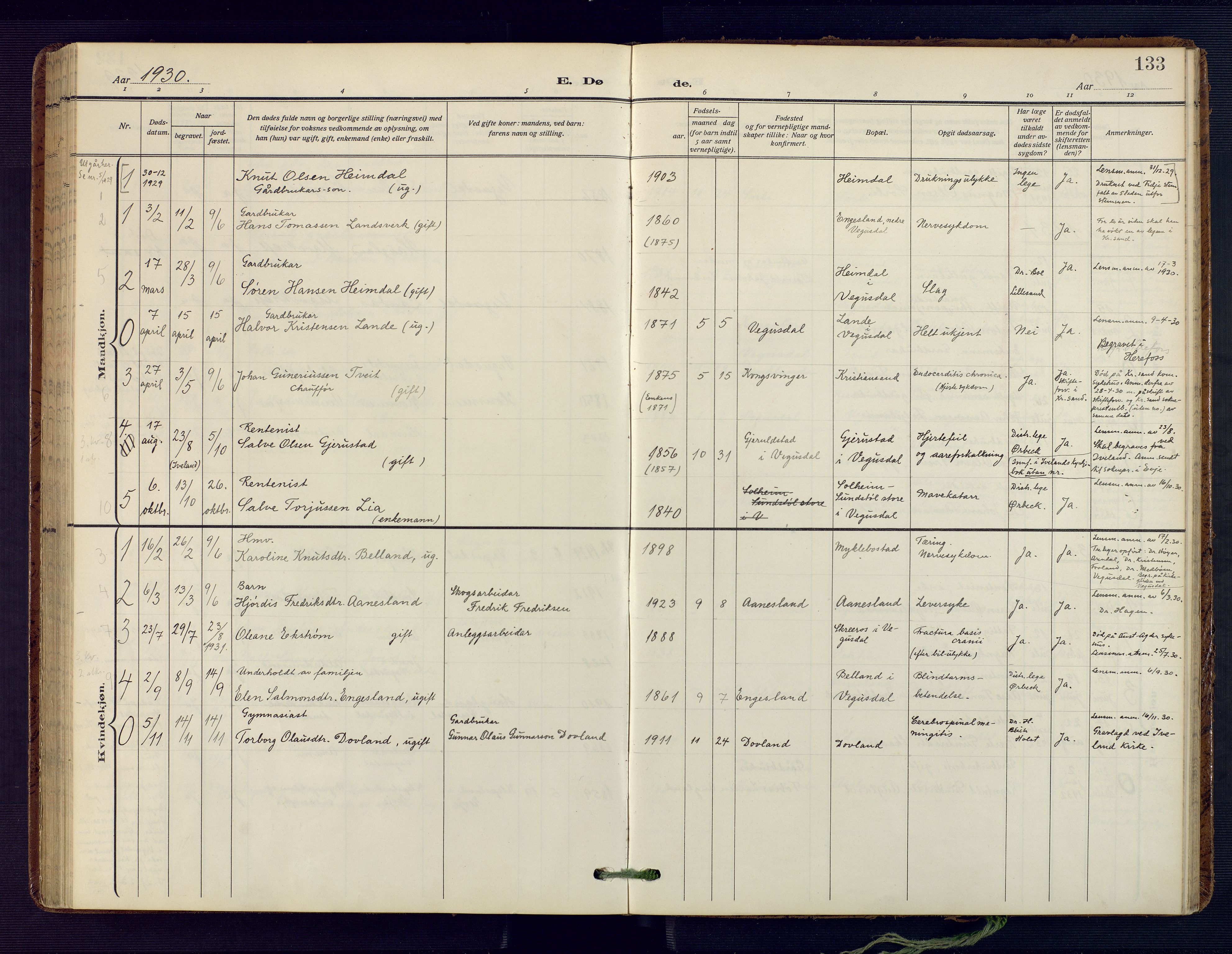 Herefoss sokneprestkontor, SAK/1111-0019/F/Fa/Fab/L0005: Parish register (official) no. A 5, 1910-1932, p. 133