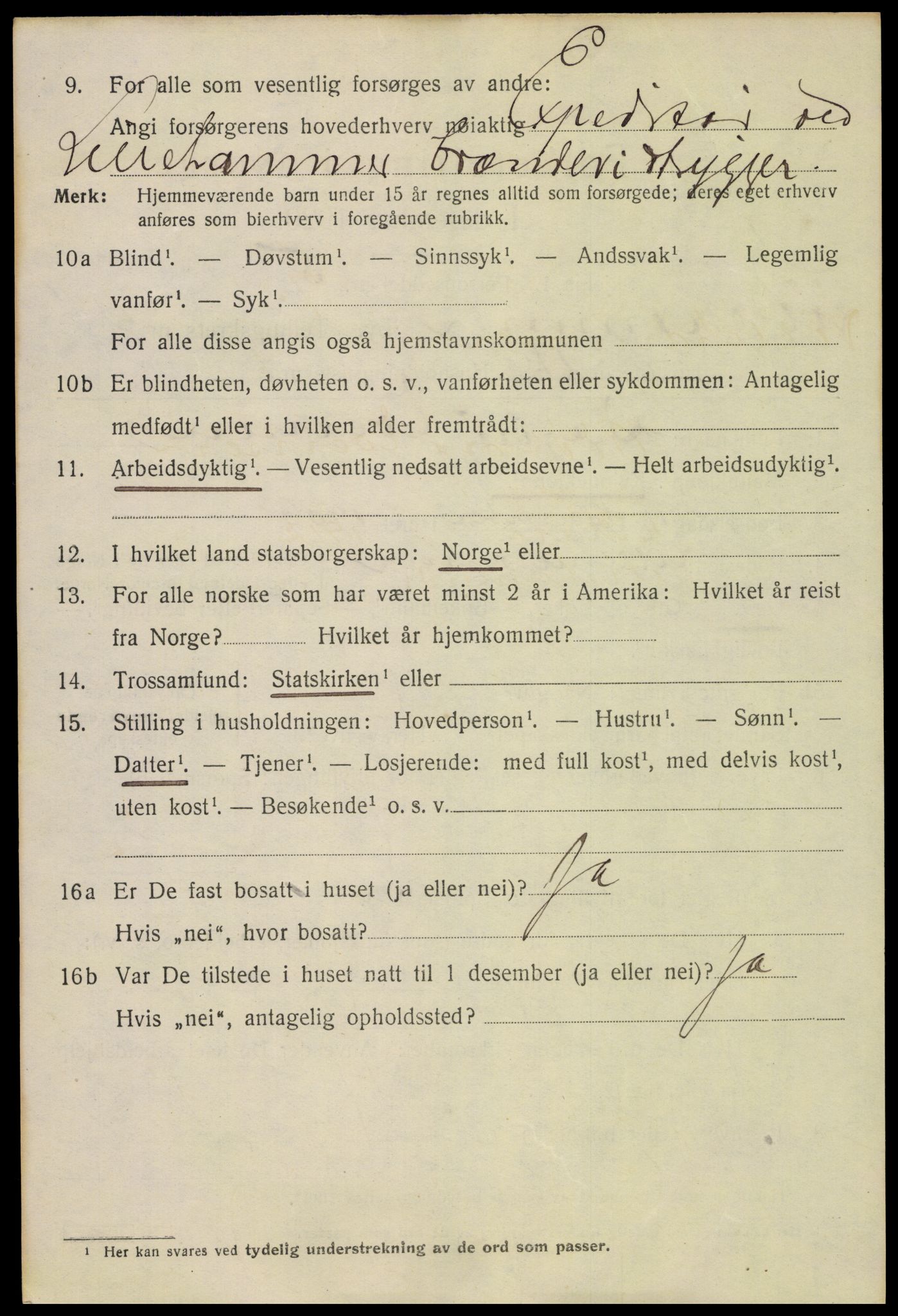 SAH, 1920 census for Lillehammer, 1920, p. 8213