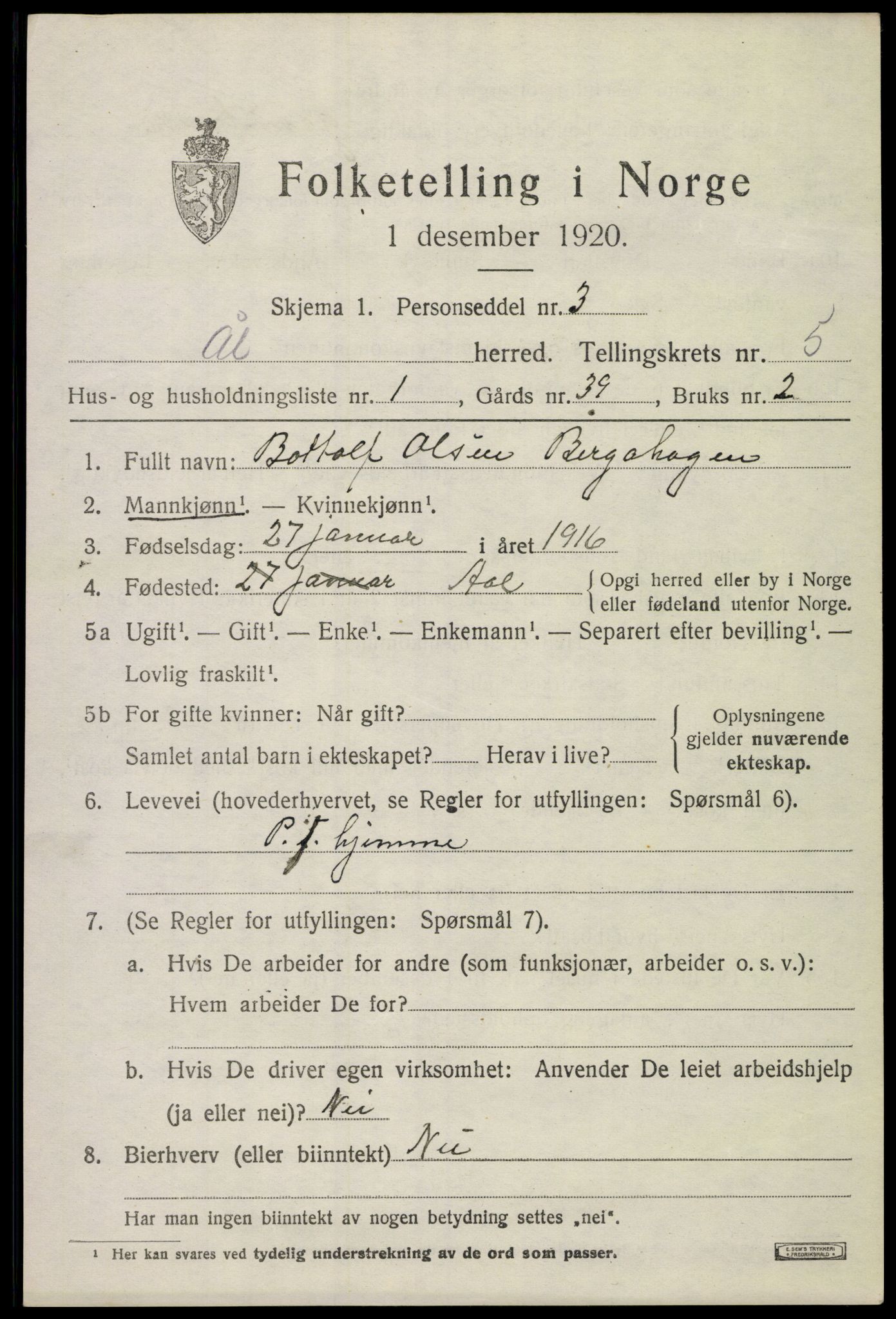 SAKO, 1920 census for Ål, 1920, p. 3876