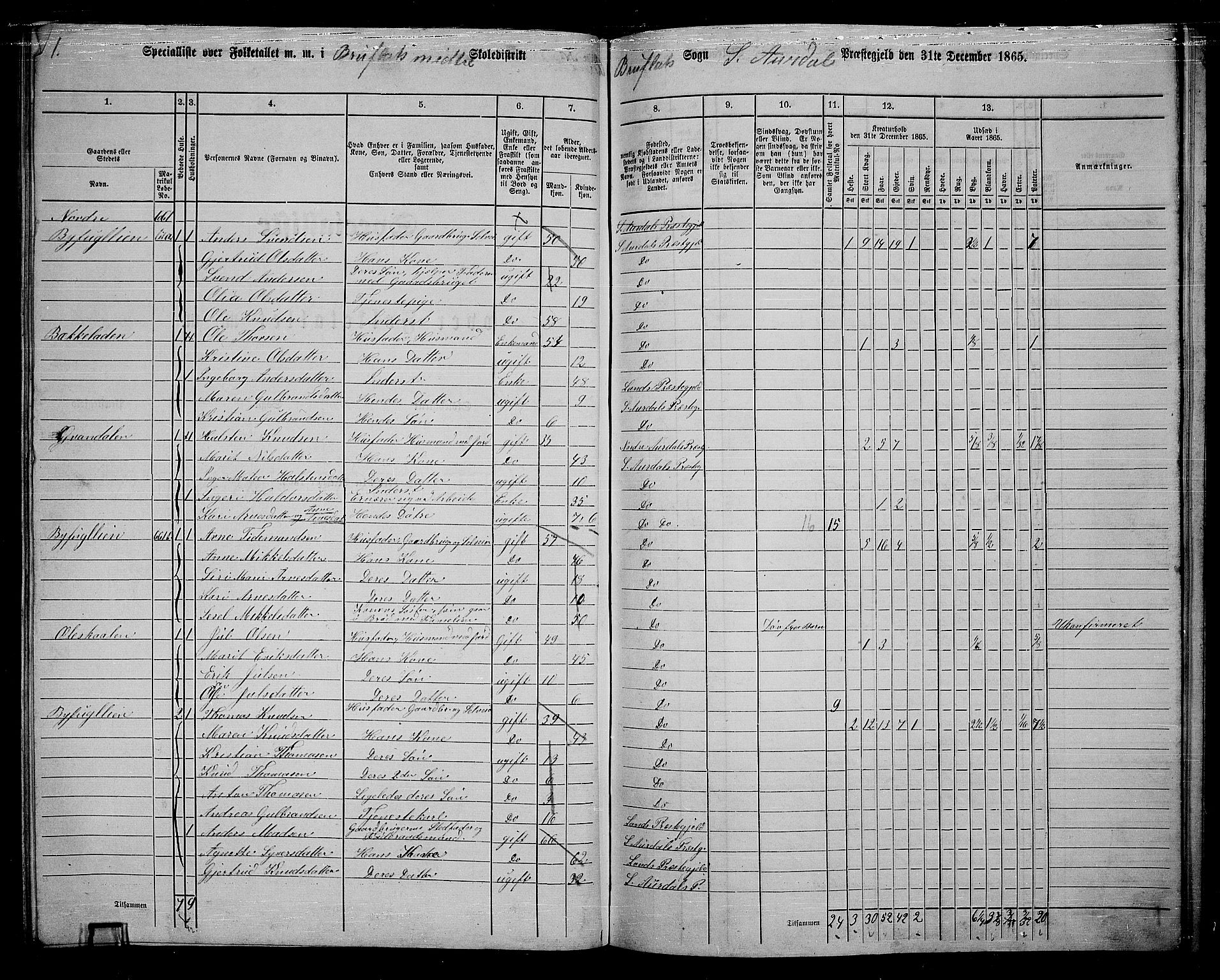 RA, 1865 census for Sør-Aurdal, 1865, p. 217