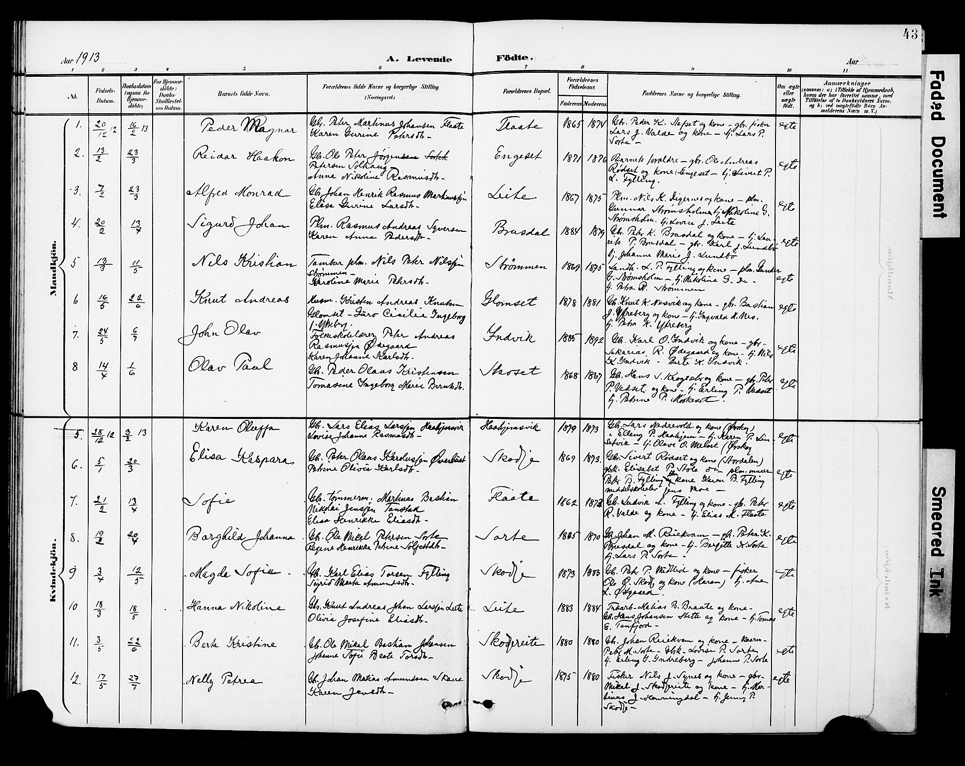 Ministerialprotokoller, klokkerbøker og fødselsregistre - Møre og Romsdal, AV/SAT-A-1454/524/L0366: Parish register (copy) no. 524C07, 1900-1931, p. 43