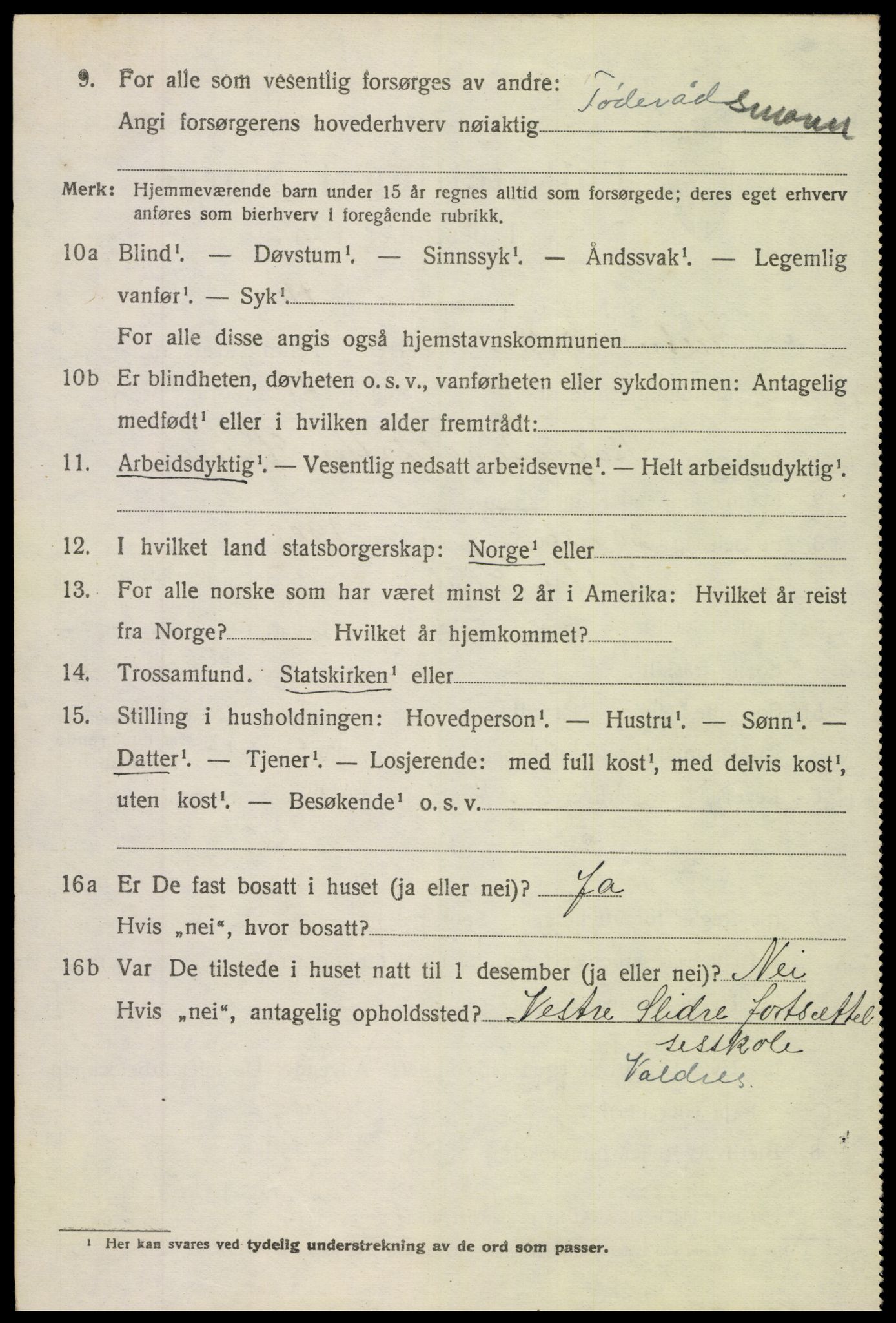 SAH, 1920 census for Vestre Slidre, 1920, p. 1619