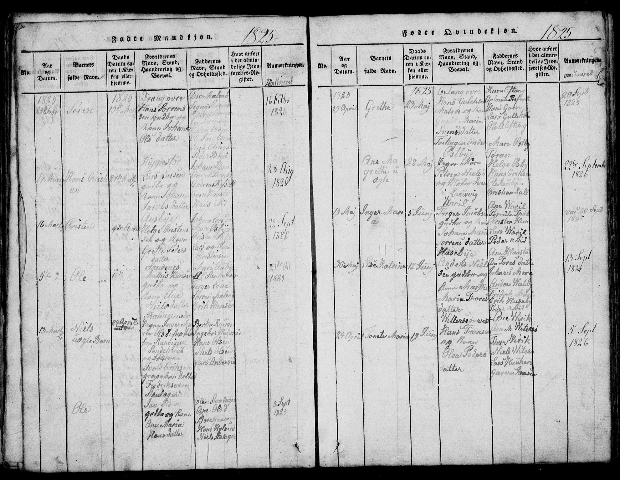 Tjølling kirkebøker, AV/SAKO-A-60/G/Ga/L0001: Parish register (copy) no. 1, 1814-1835, p. 100