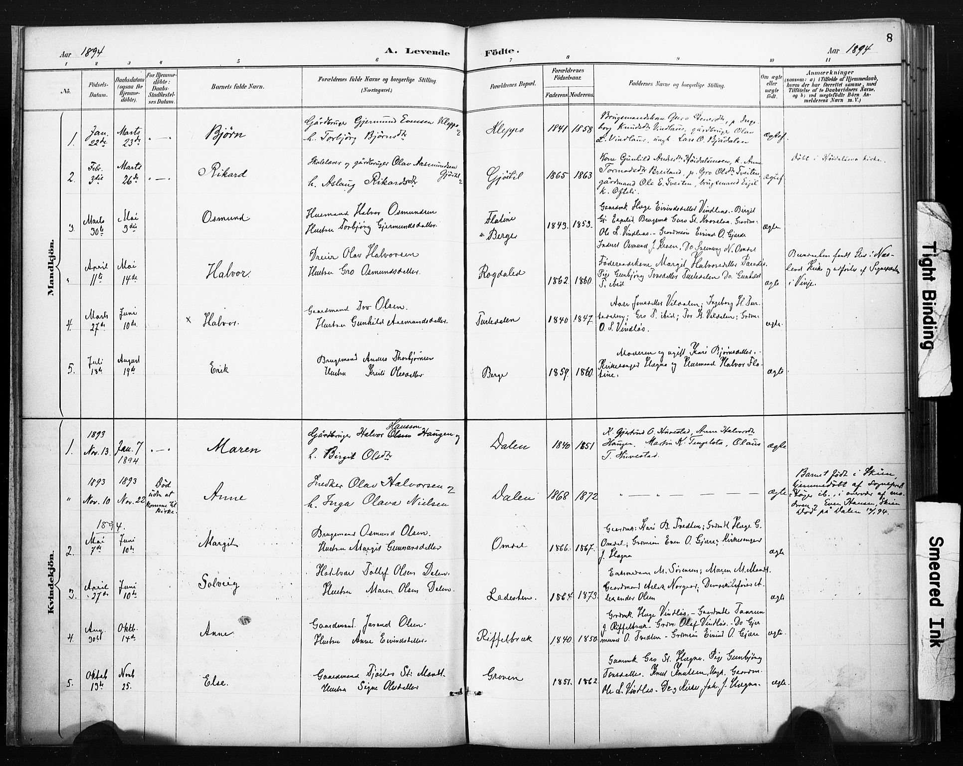 Lårdal kirkebøker, AV/SAKO-A-284/F/Fb/L0002: Parish register (official) no. II 2, 1887-1918, p. 8