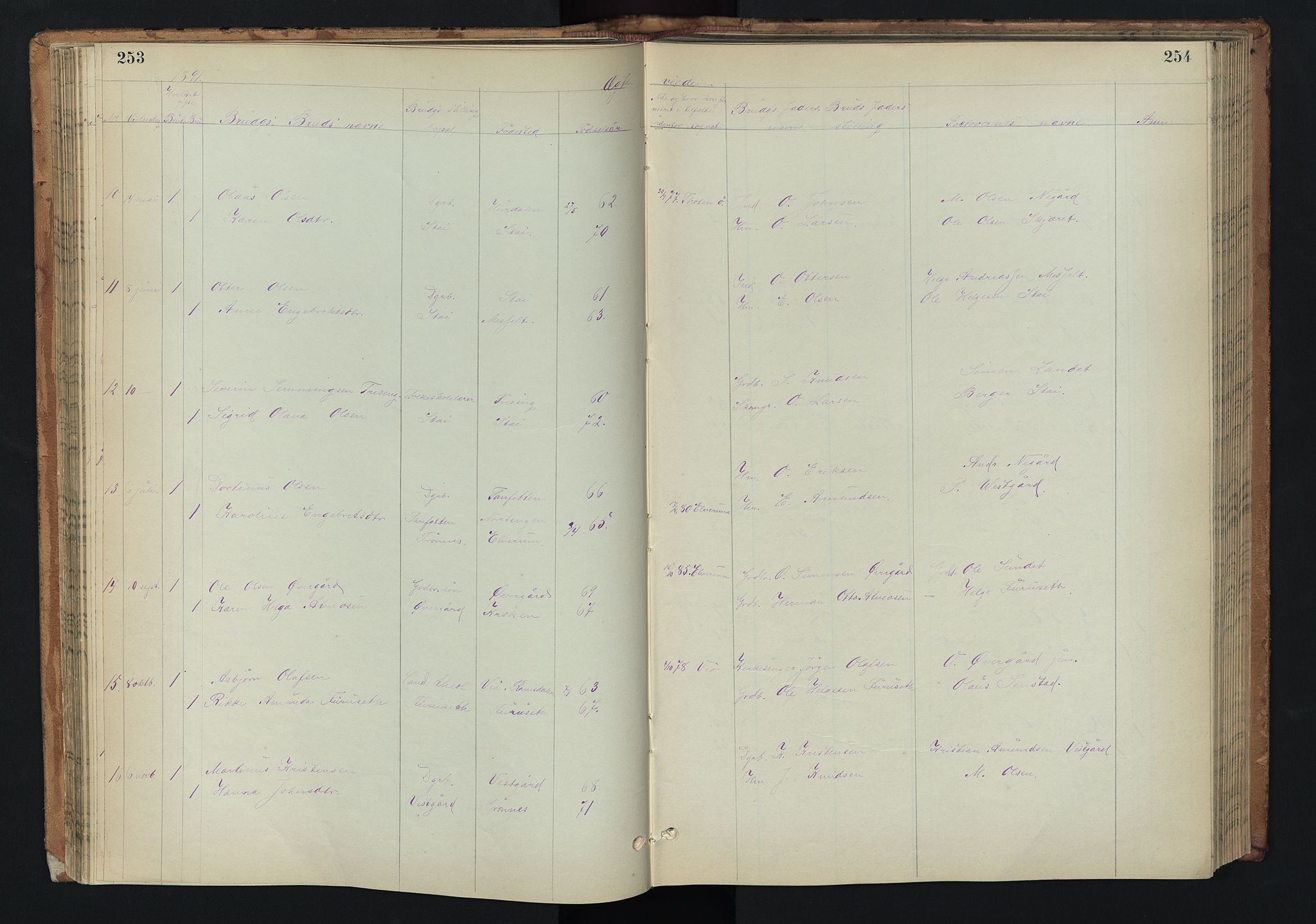 Stor-Elvdal prestekontor, AV/SAH-PREST-052/H/Ha/Hab/L0002: Parish register (copy) no. 2, 1860-1894, p. 253-254