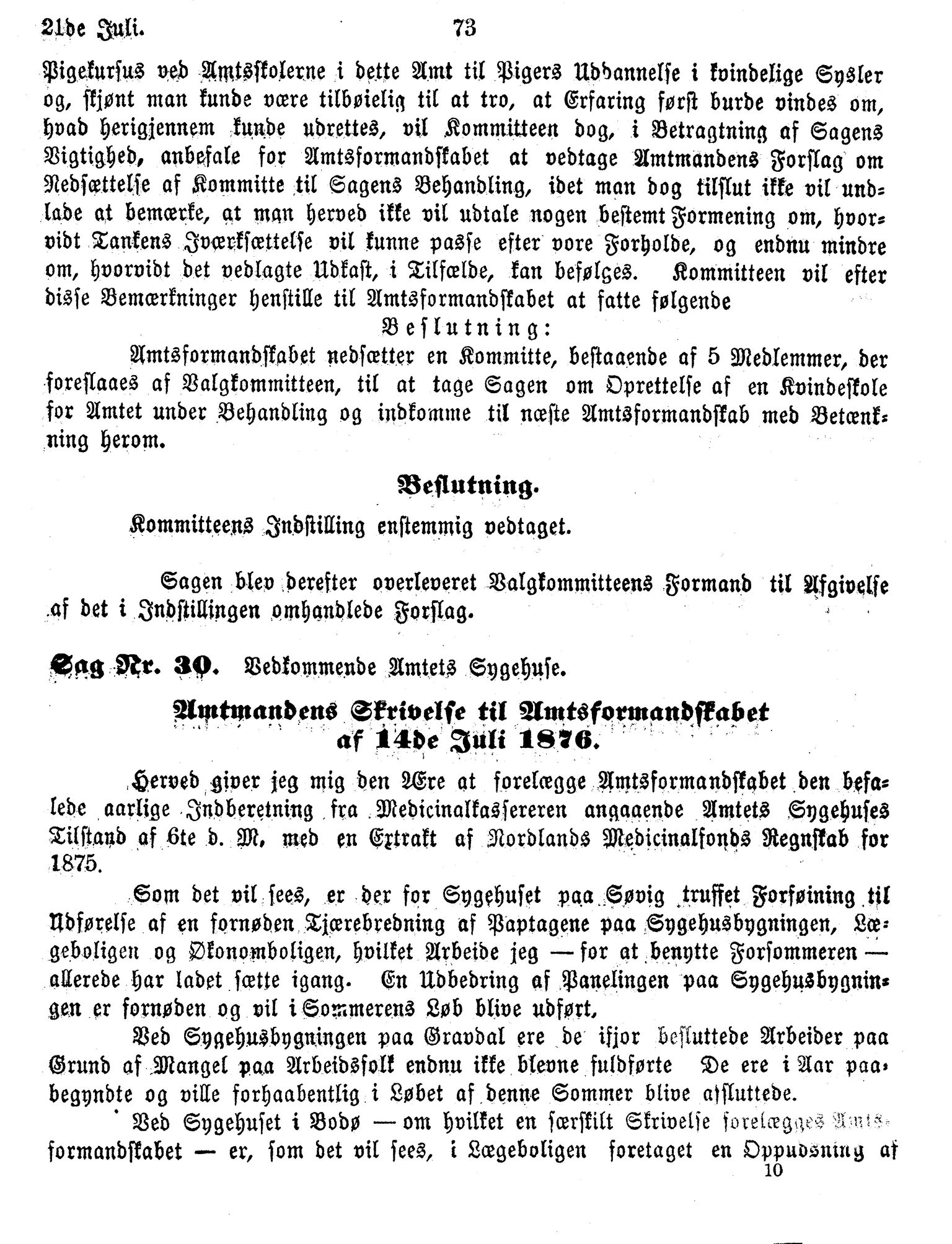 Nordland Fylkeskommune. Fylkestinget, AIN/NFK-17/176/A/Ac/L0010: Fylkestingsforhandlinger 1874-1880, 1874-1880