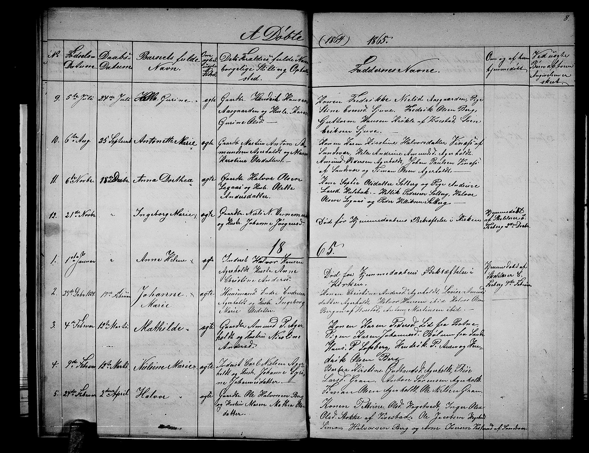 Hof kirkebøker, AV/SAKO-A-64/G/Gb/L0001: Parish register (copy) no. II 1, 1860-1877, p. 8