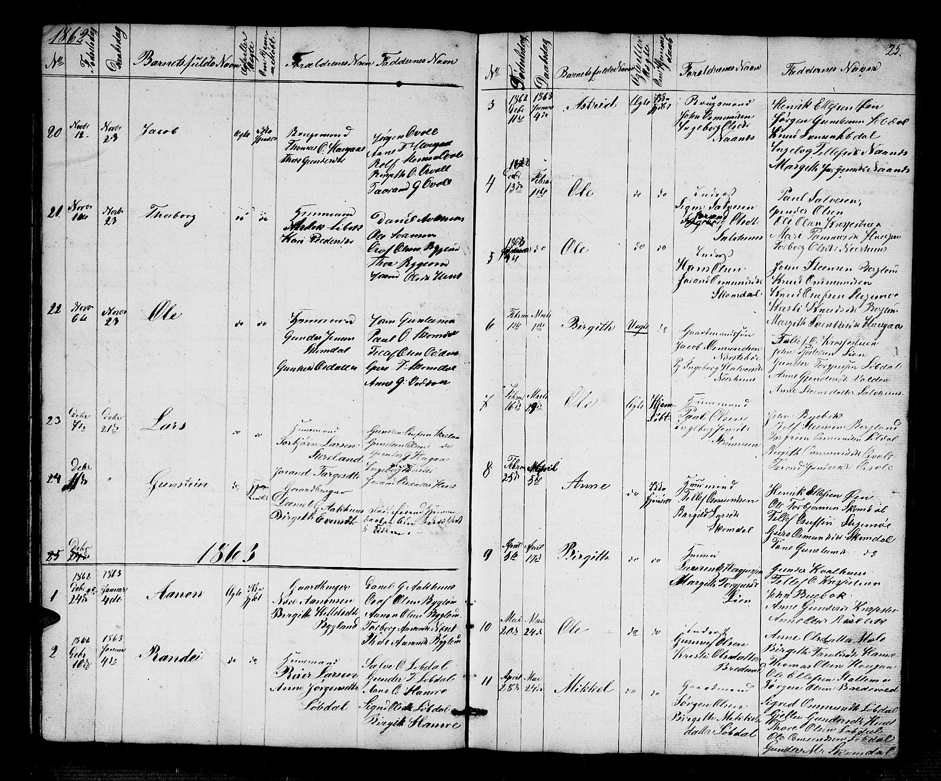 Bygland sokneprestkontor, AV/SAK-1111-0006/F/Fb/Fbb/L0002: Parish register (copy) no. B 2, 1848-1886, p. 25