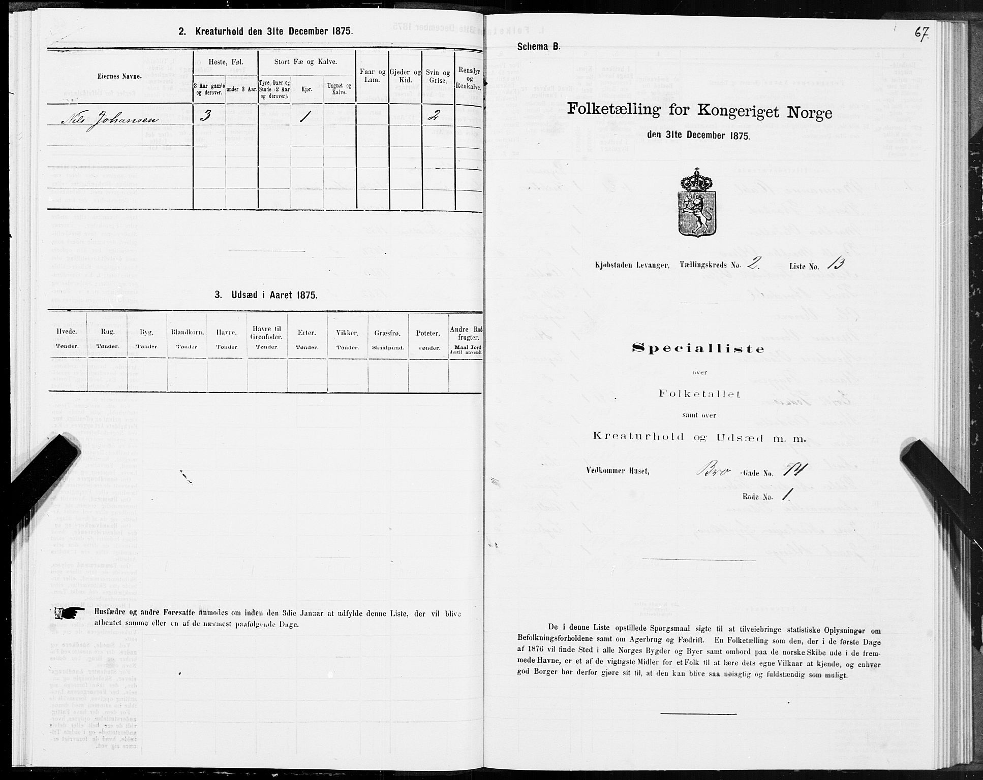 SAT, 1875 census for 1701B Levanger/Levanger, 1875, p. 67