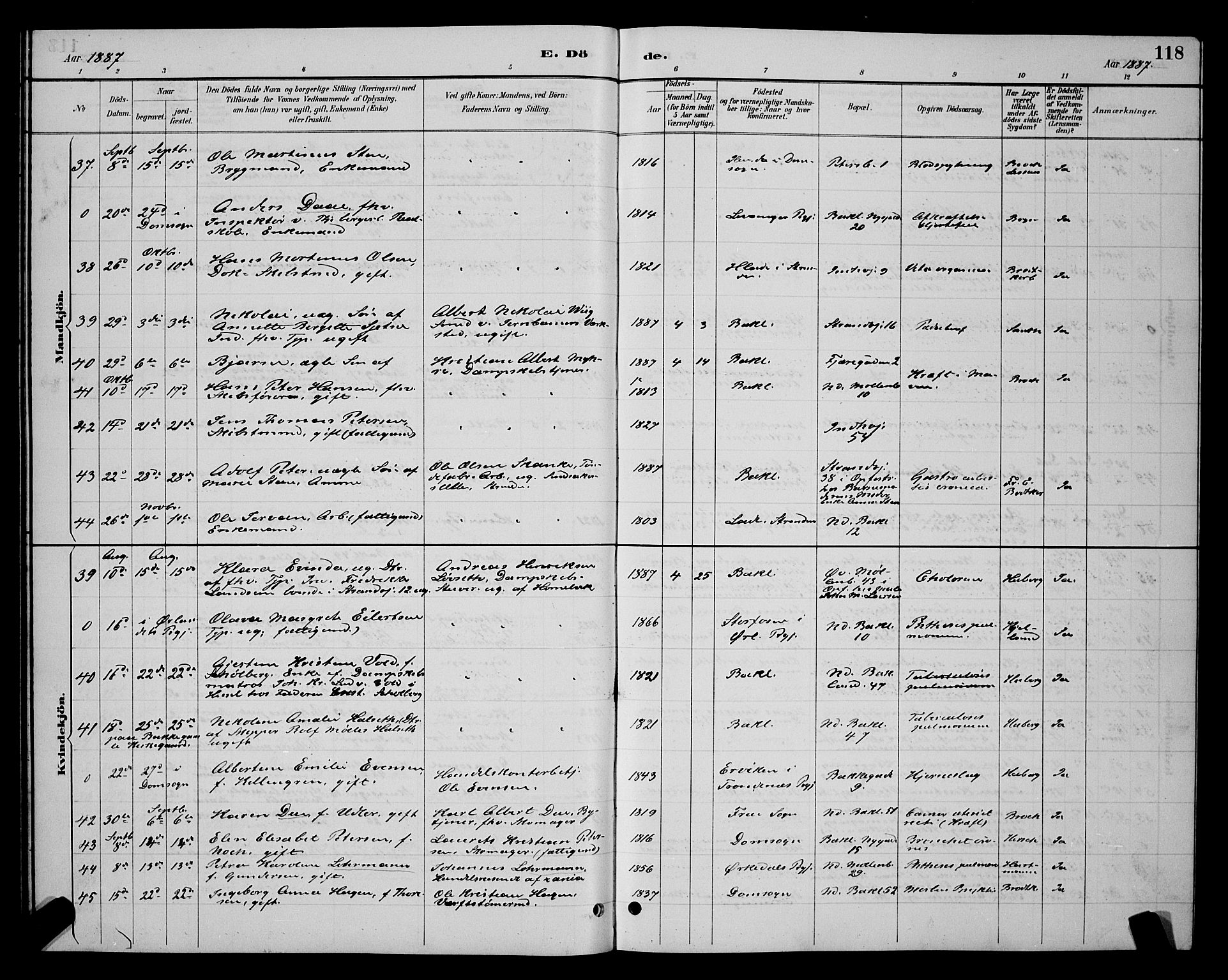 Ministerialprotokoller, klokkerbøker og fødselsregistre - Sør-Trøndelag, AV/SAT-A-1456/604/L0223: Parish register (copy) no. 604C06, 1886-1897, p. 118