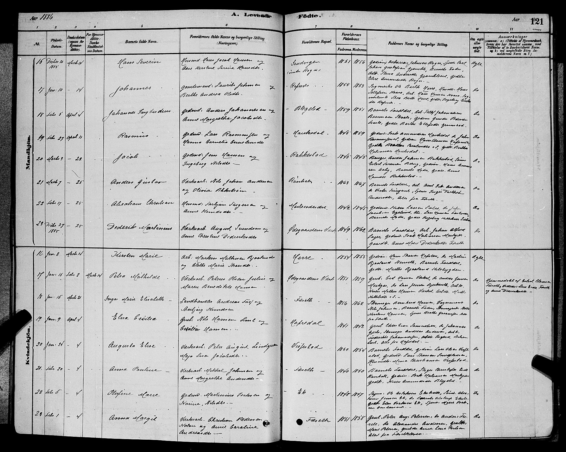 Bamble kirkebøker, AV/SAKO-A-253/G/Ga/L0008: Parish register (copy) no. I 8, 1878-1888, p. 121