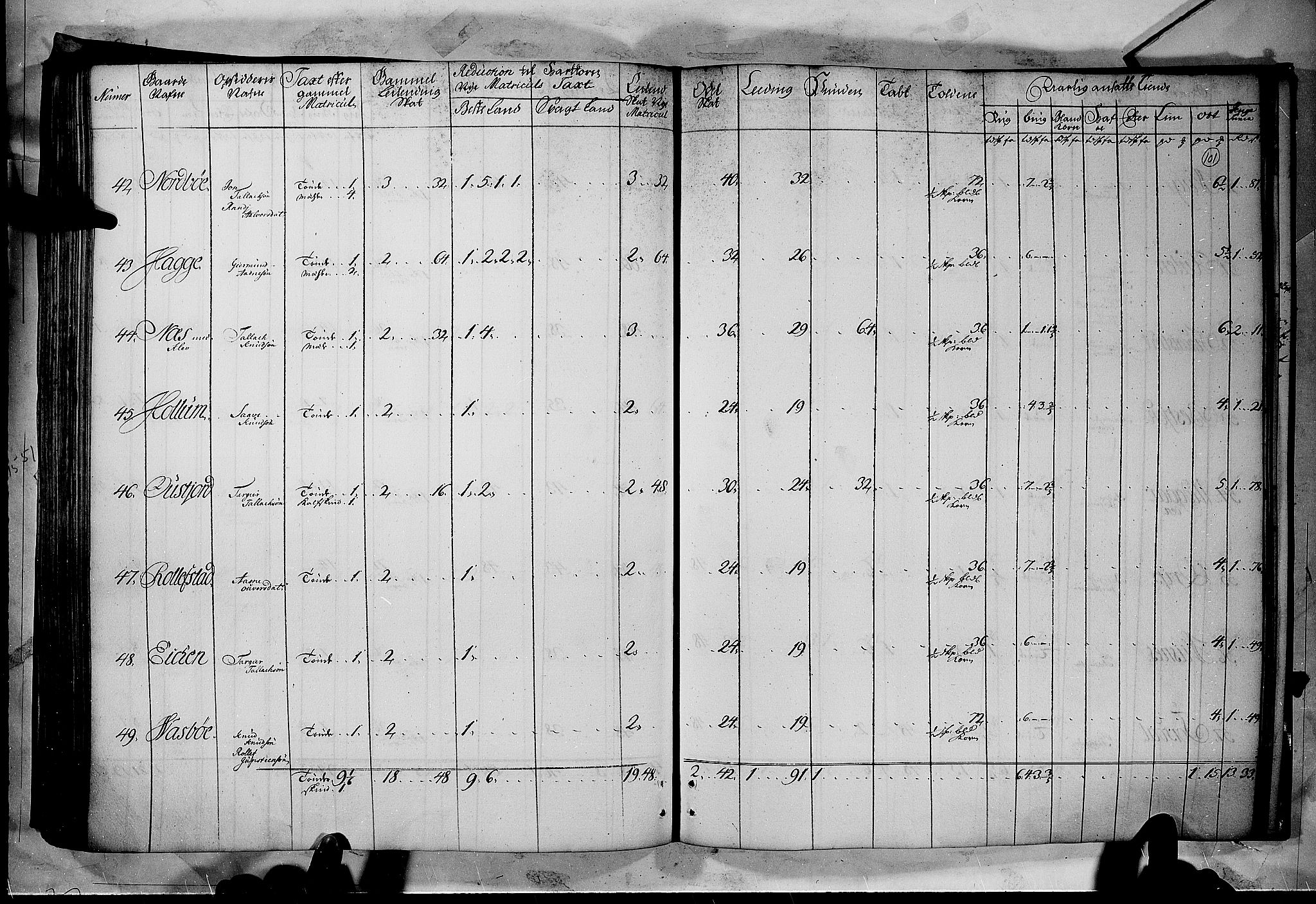 Rentekammeret inntil 1814, Realistisk ordnet avdeling, AV/RA-EA-4070/N/Nb/Nbf/L0122: Øvre og Nedre Telemark matrikkelprotokoll, 1723, p. 100b-101a