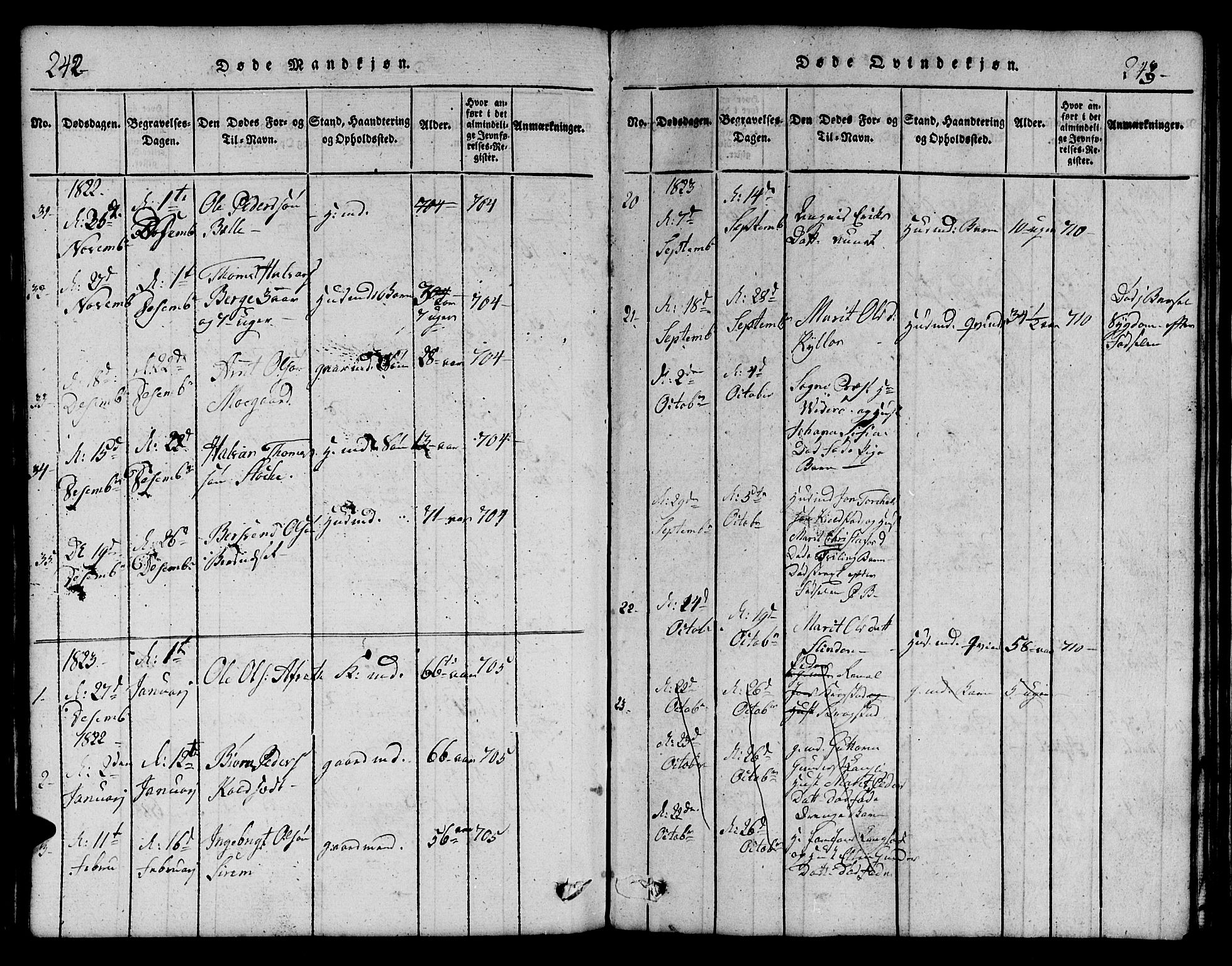 Ministerialprotokoller, klokkerbøker og fødselsregistre - Sør-Trøndelag, SAT/A-1456/695/L1152: Parish register (copy) no. 695C03, 1816-1831, p. 242-243