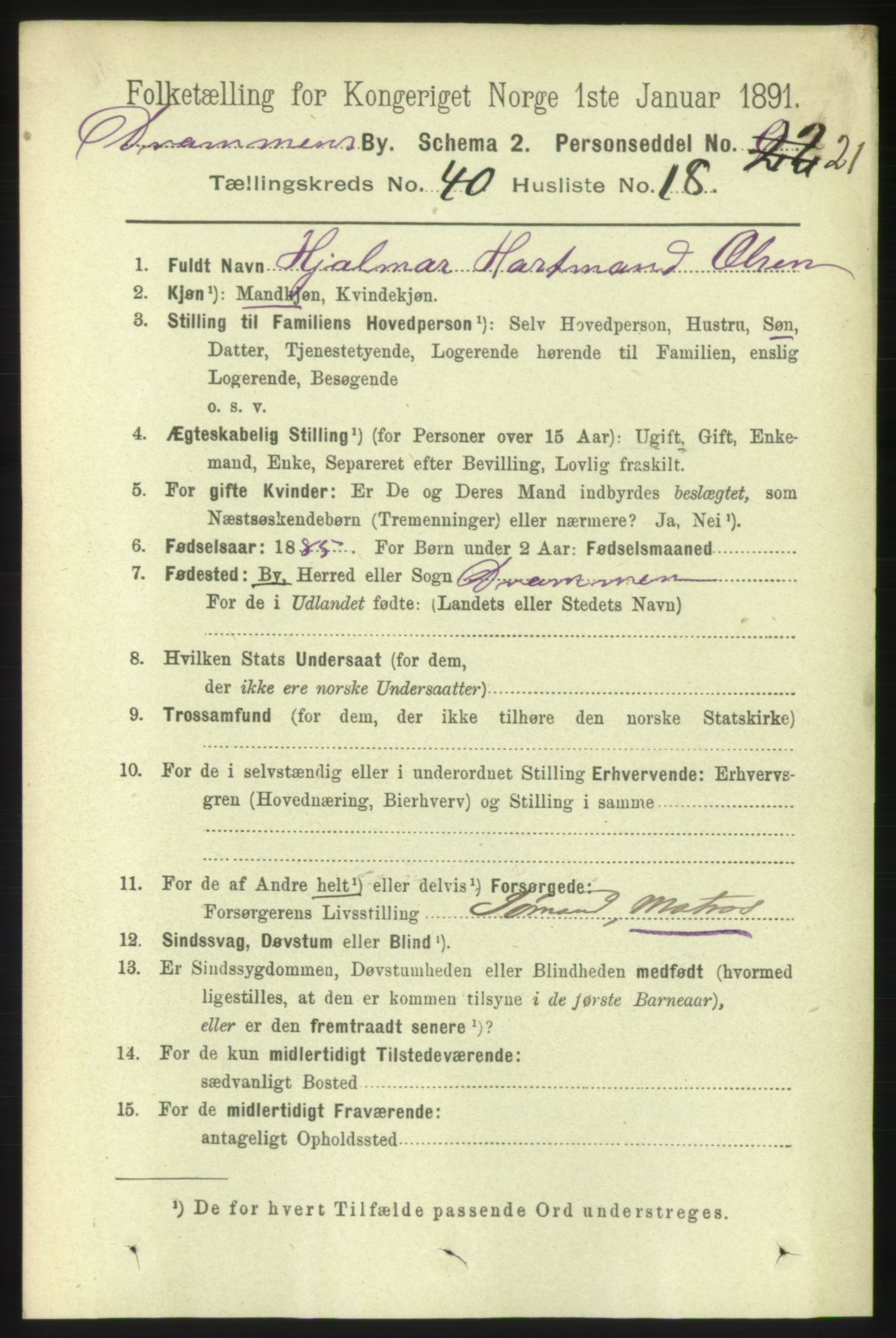 RA, 1891 census for 0602 Drammen, 1891, p. 23919