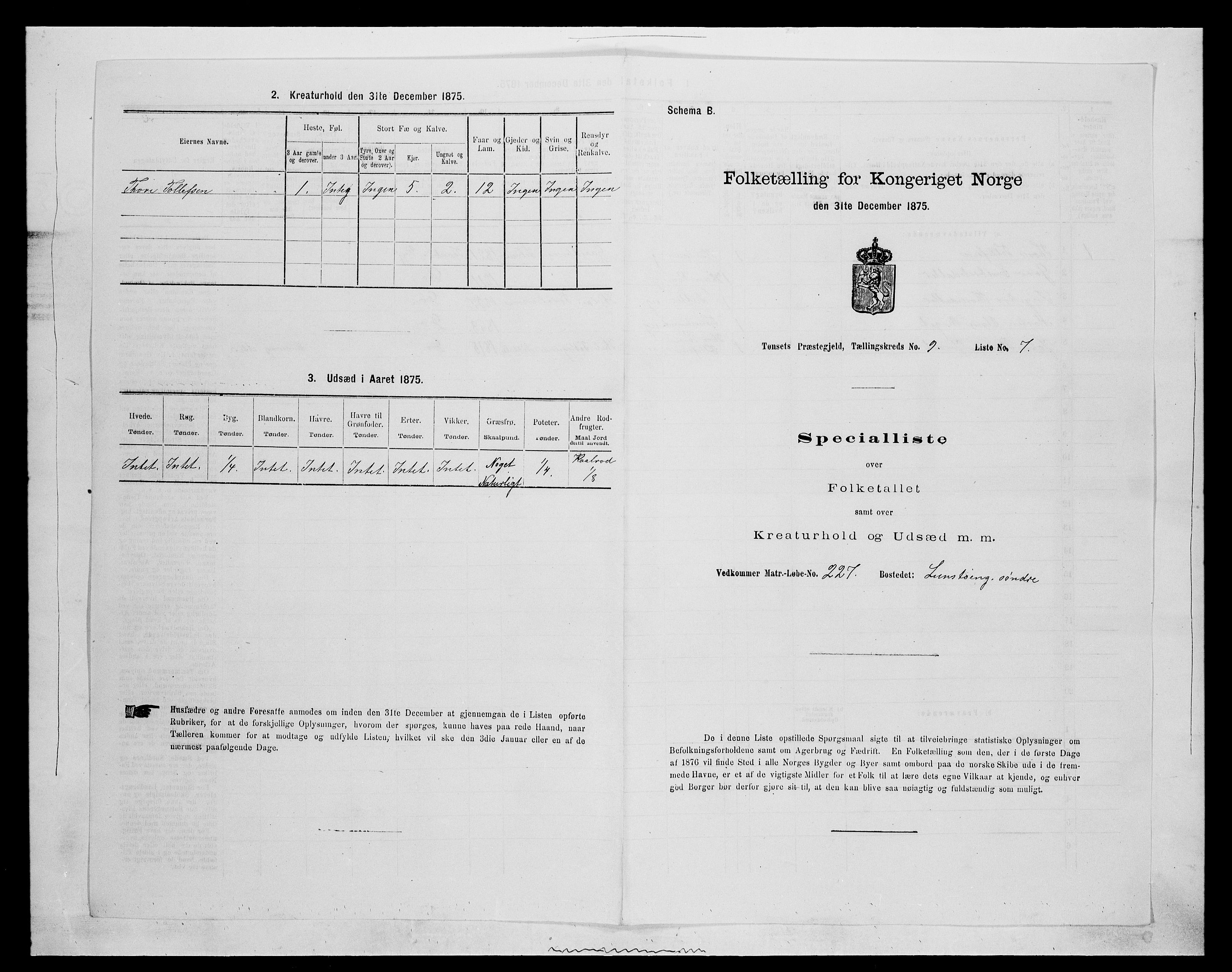 SAH, 1875 census for 0437P Tynset, 1875, p. 917