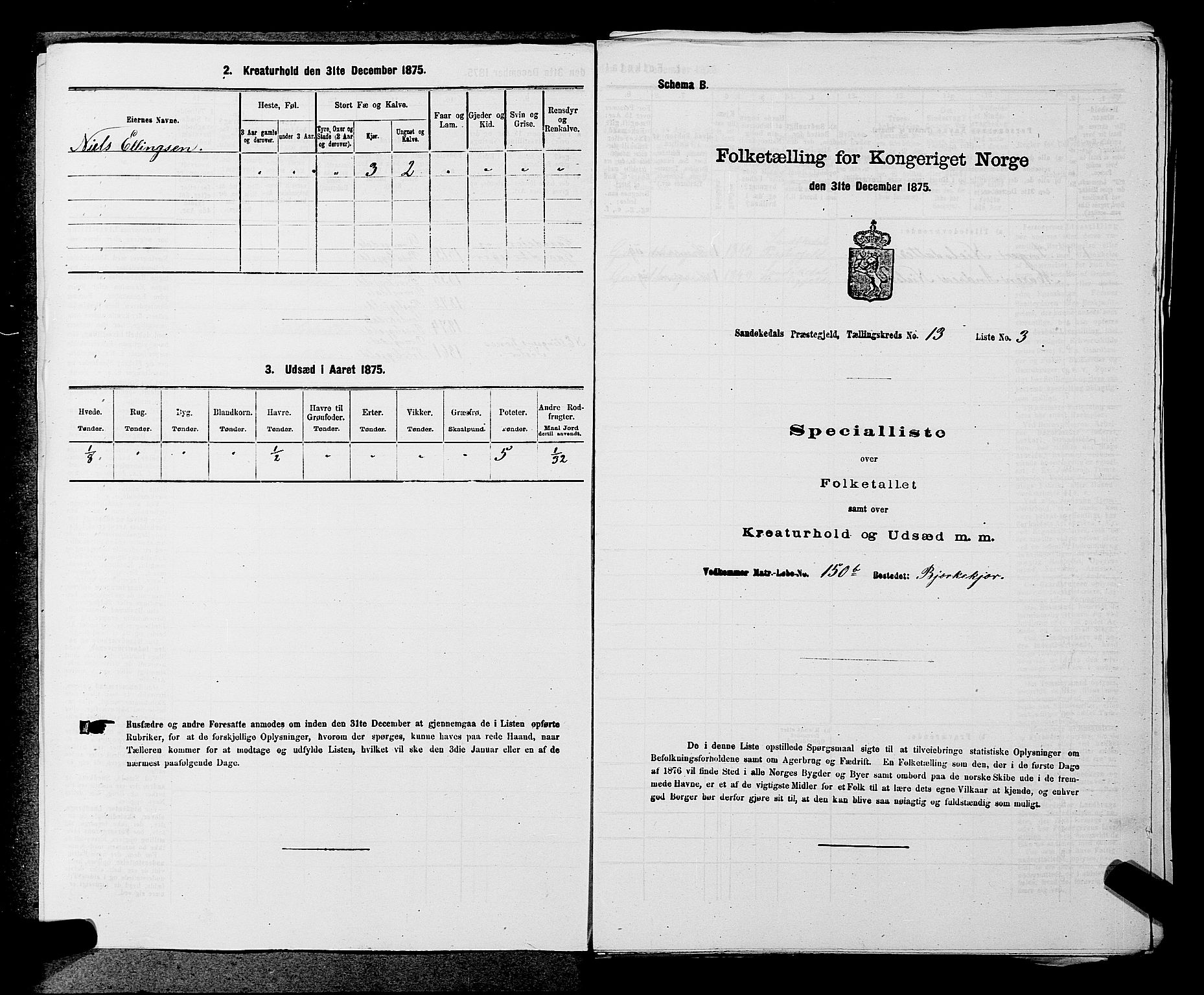 SAKO, 1875 census for 0816P Sannidal, 1875, p. 869