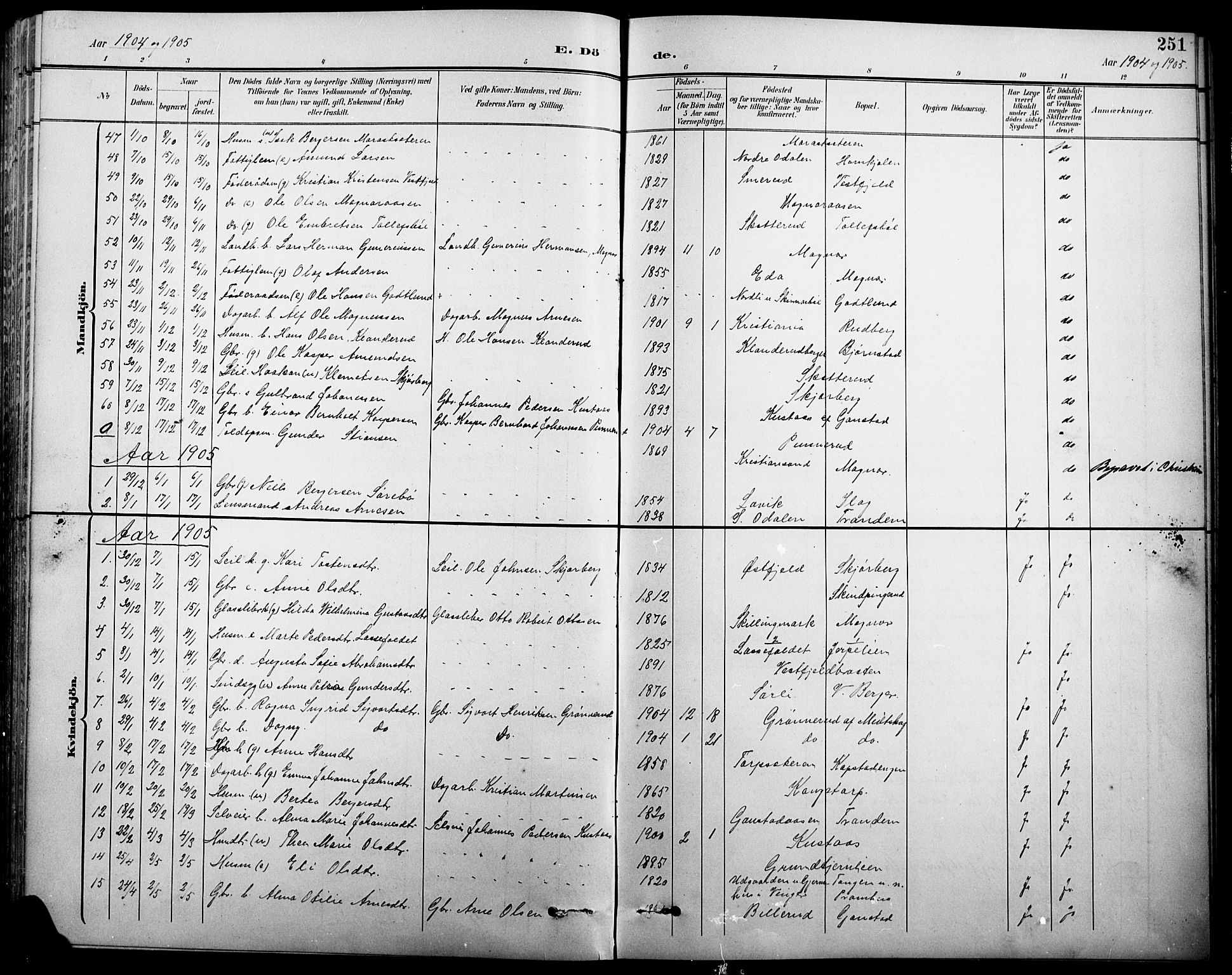 Eidskog prestekontor, SAH/PREST-026/H/Ha/Hab/L0001: Parish register (copy) no. 1, 1895-1917, p. 251