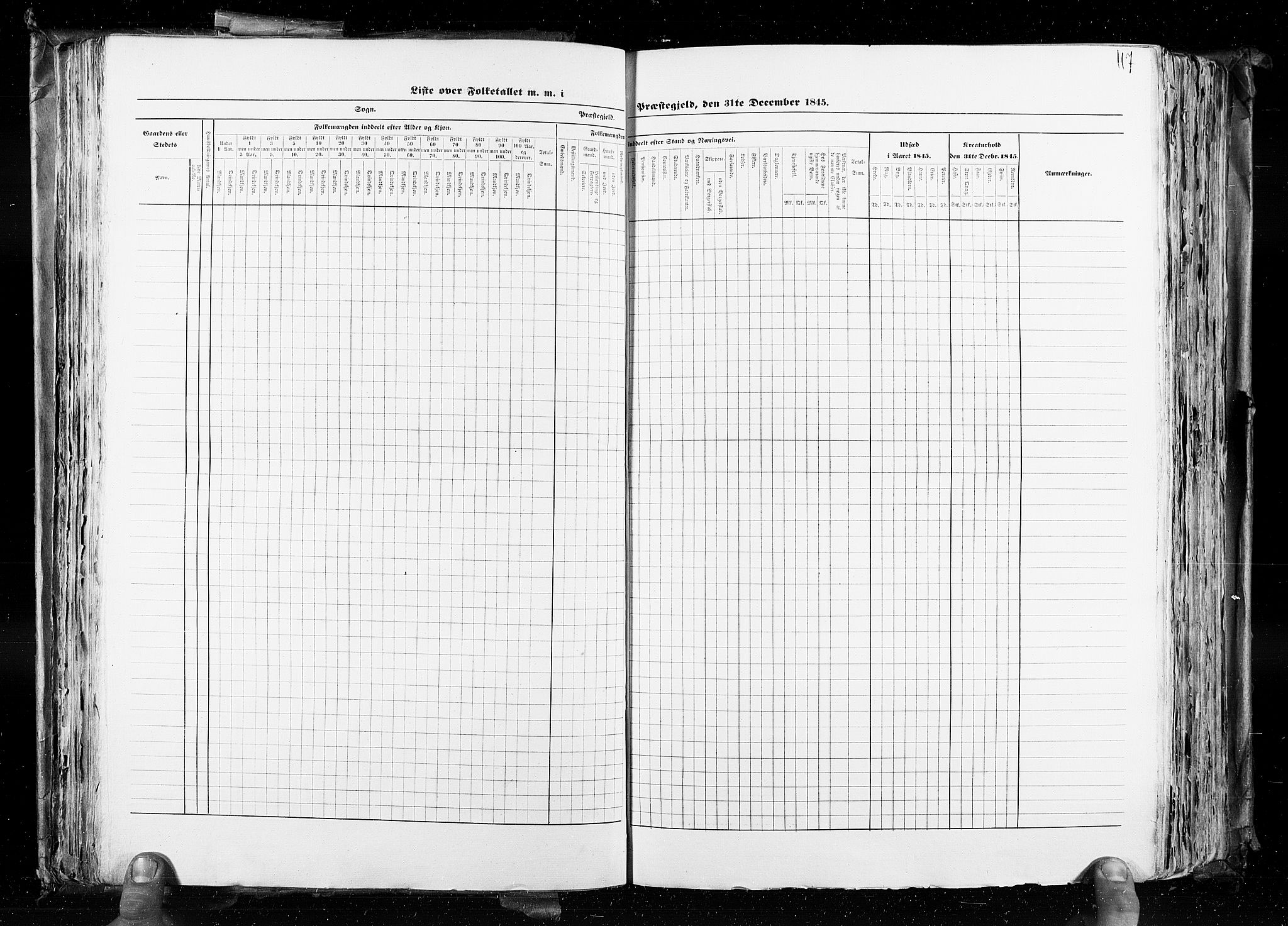 RA, Census 1845, vol. 4: Buskerud amt og Jarlsberg og Larvik amt, 1845, p. 117