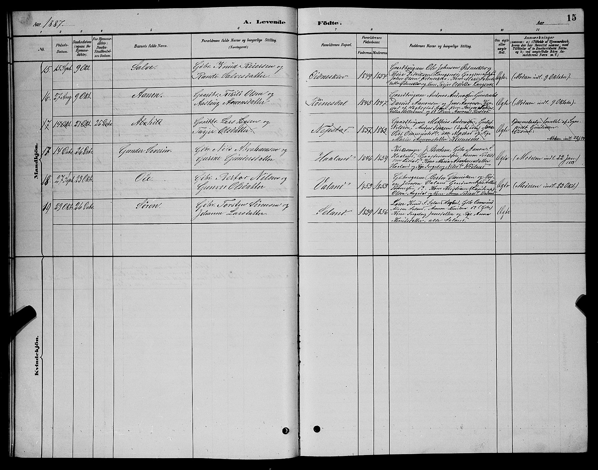 Nord-Audnedal sokneprestkontor, AV/SAK-1111-0032/F/Fb/Fba/L0003: Parish register (copy) no. B 3, 1881-1900, p. 15