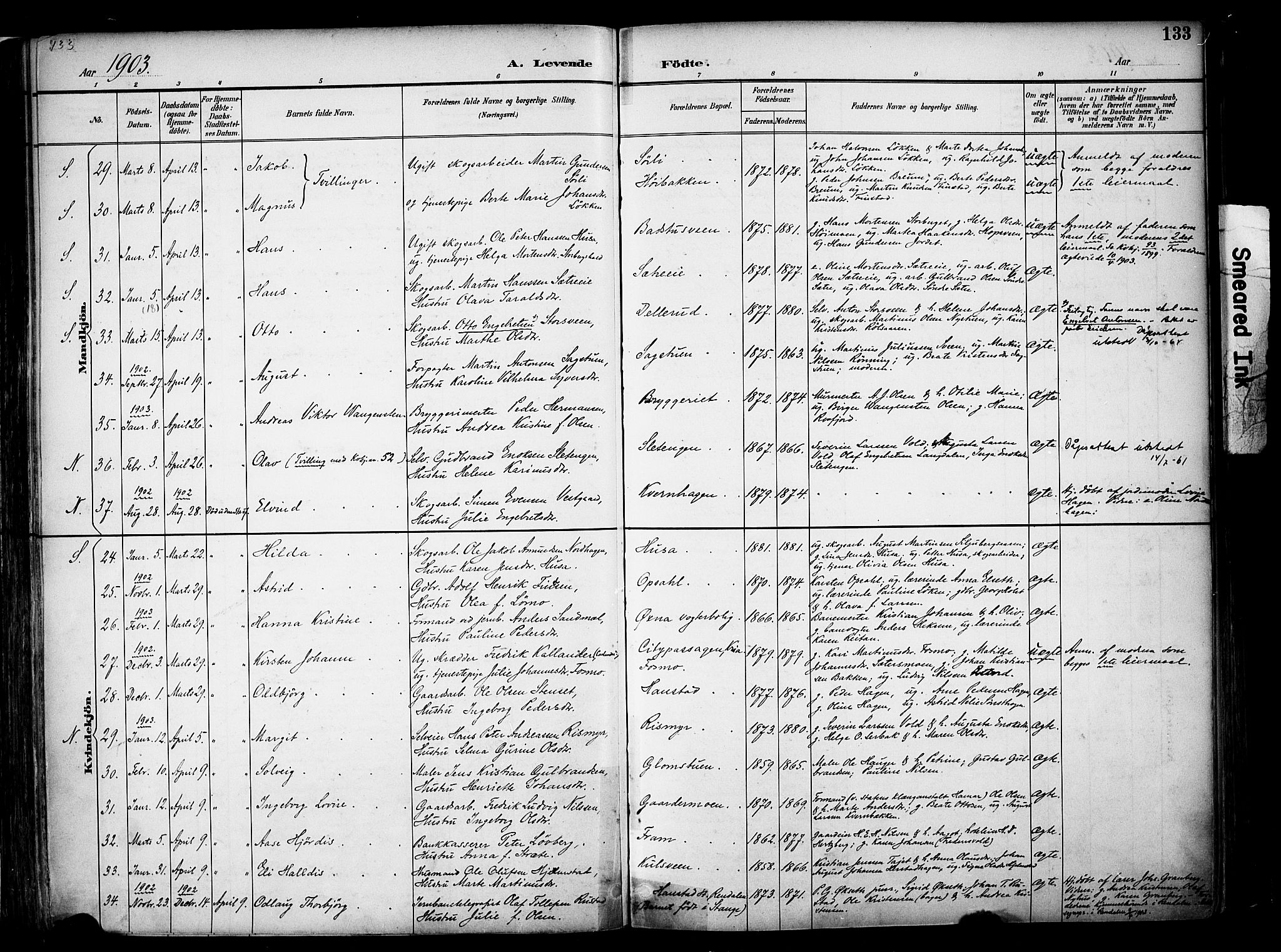 Elverum prestekontor, AV/SAH-PREST-044/H/Ha/Haa/L0014: Parish register (official) no. 14, 1891-1909, p. 133