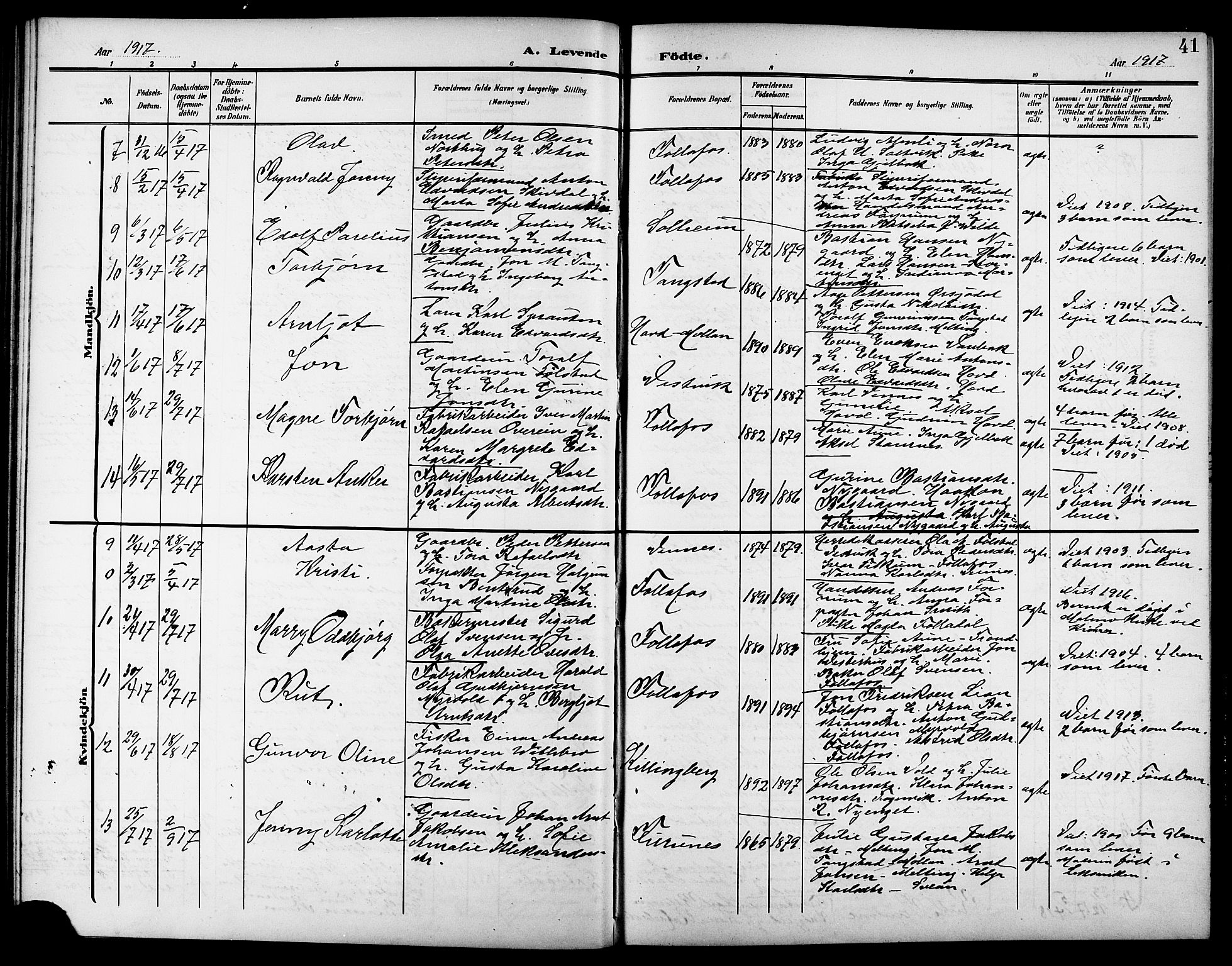 Ministerialprotokoller, klokkerbøker og fødselsregistre - Nord-Trøndelag, SAT/A-1458/744/L0424: Parish register (copy) no. 744C03, 1906-1923, p. 41
