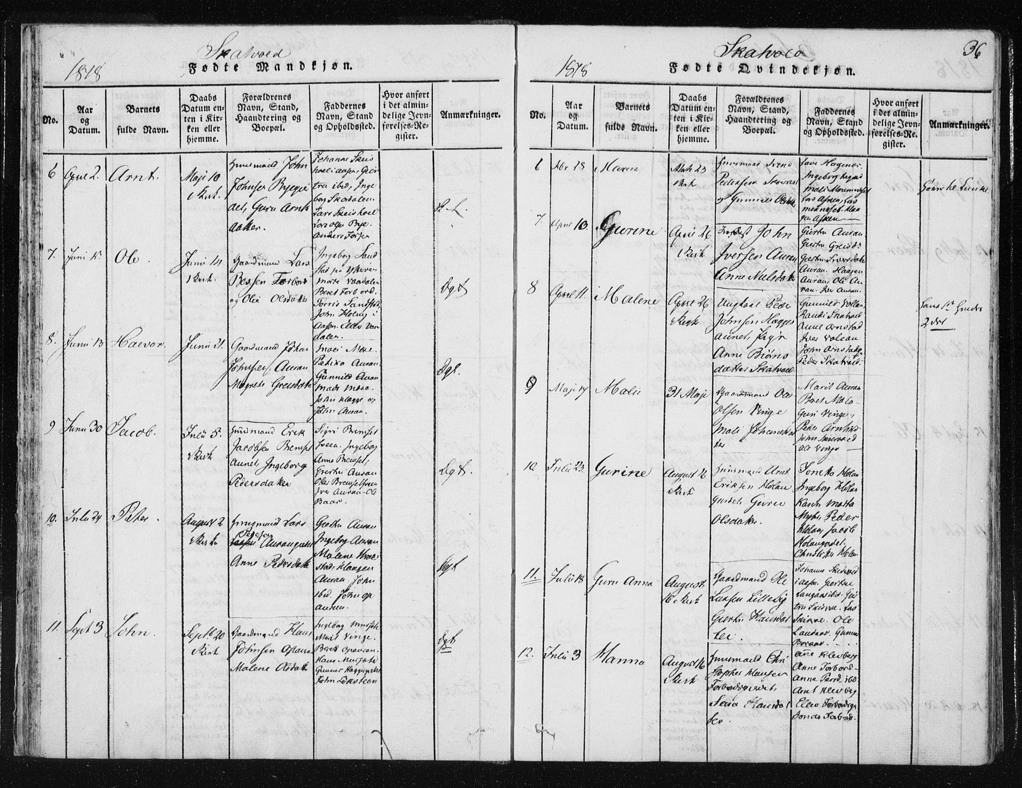 Ministerialprotokoller, klokkerbøker og fødselsregistre - Nord-Trøndelag, AV/SAT-A-1458/709/L0061: Parish register (official) no. 709A08 /2, 1815-1819, p. 36