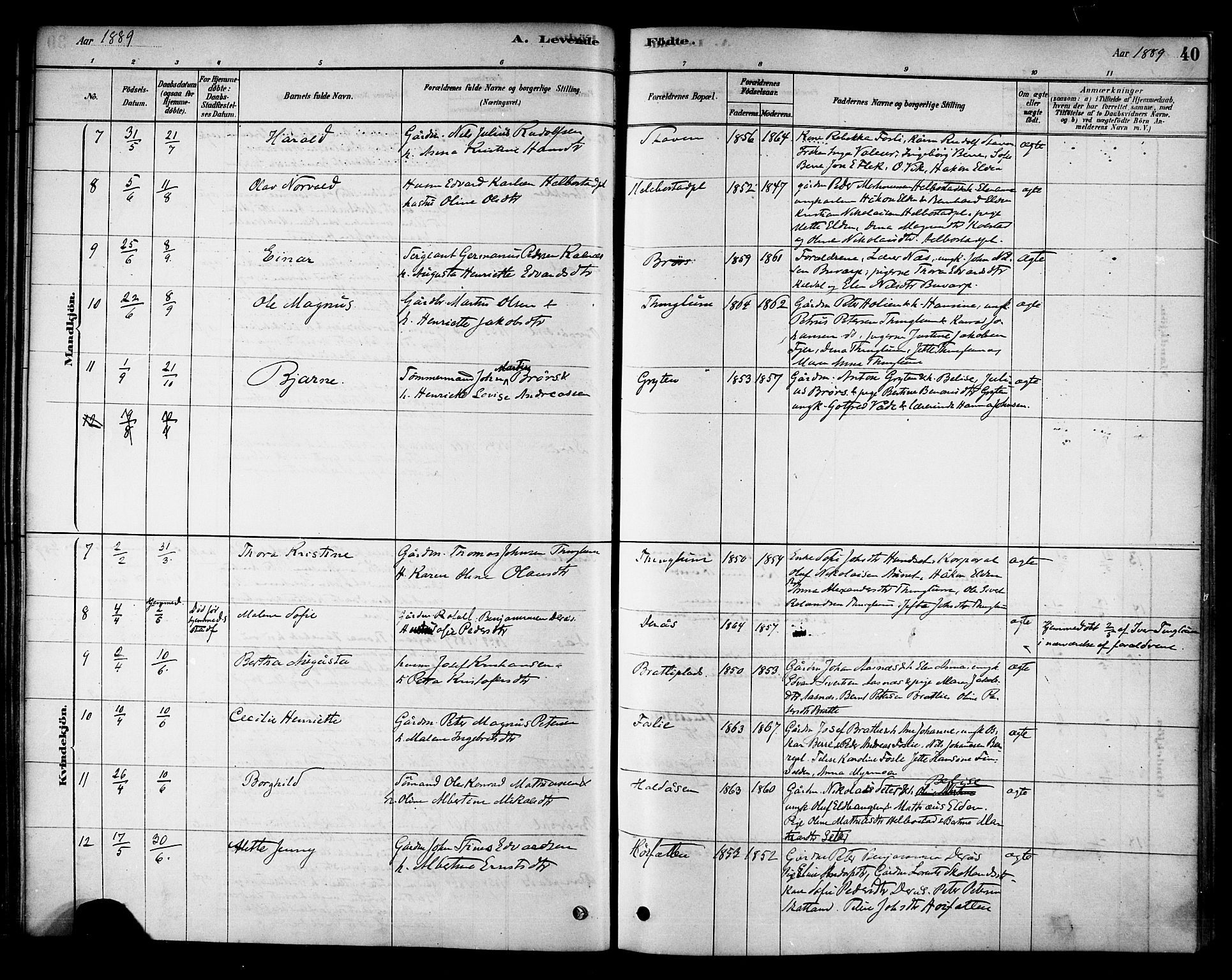 Ministerialprotokoller, klokkerbøker og fødselsregistre - Nord-Trøndelag, AV/SAT-A-1458/742/L0408: Parish register (official) no. 742A01, 1878-1890, p. 40