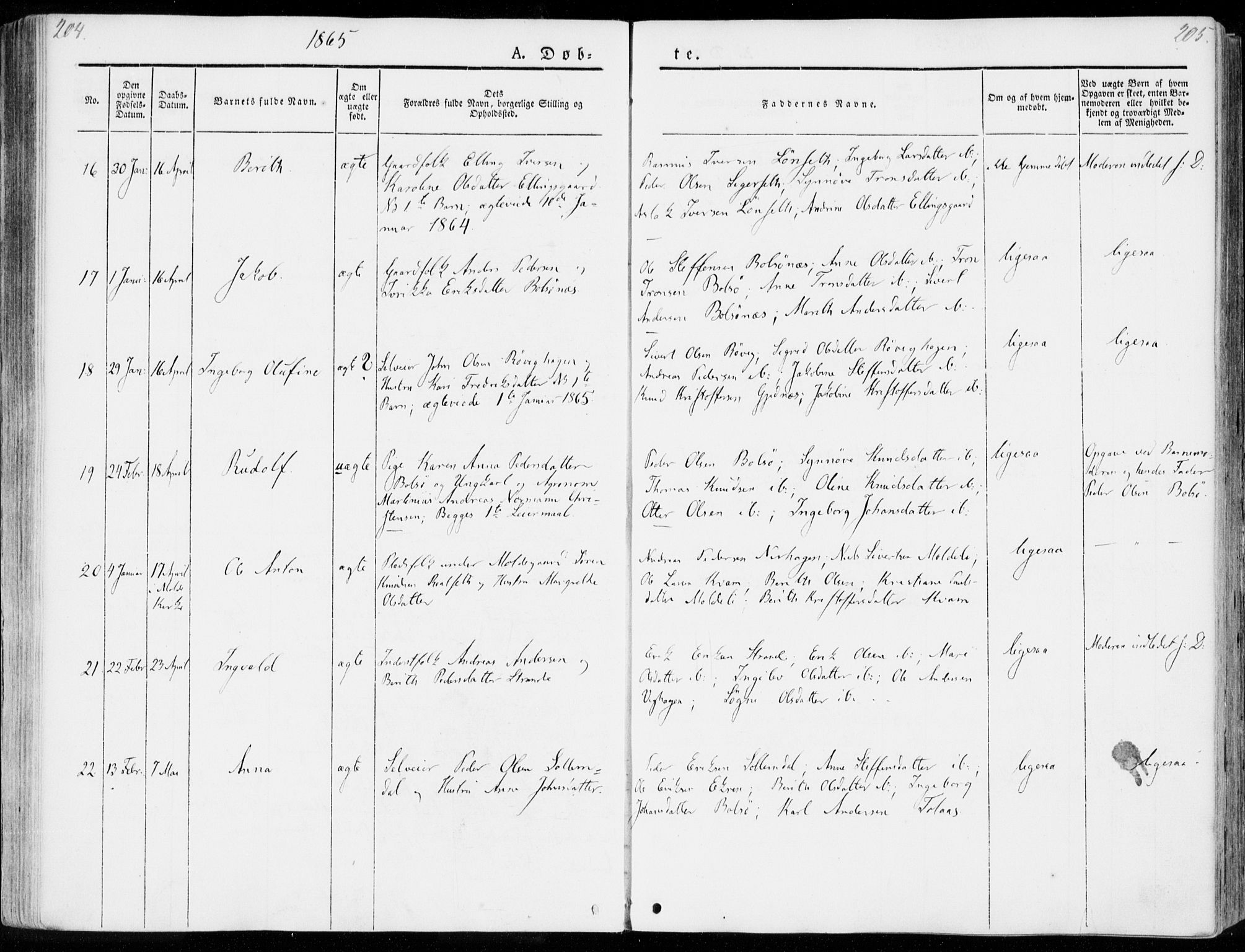 Ministerialprotokoller, klokkerbøker og fødselsregistre - Møre og Romsdal, AV/SAT-A-1454/555/L0653: Parish register (official) no. 555A04, 1843-1869, p. 204-205