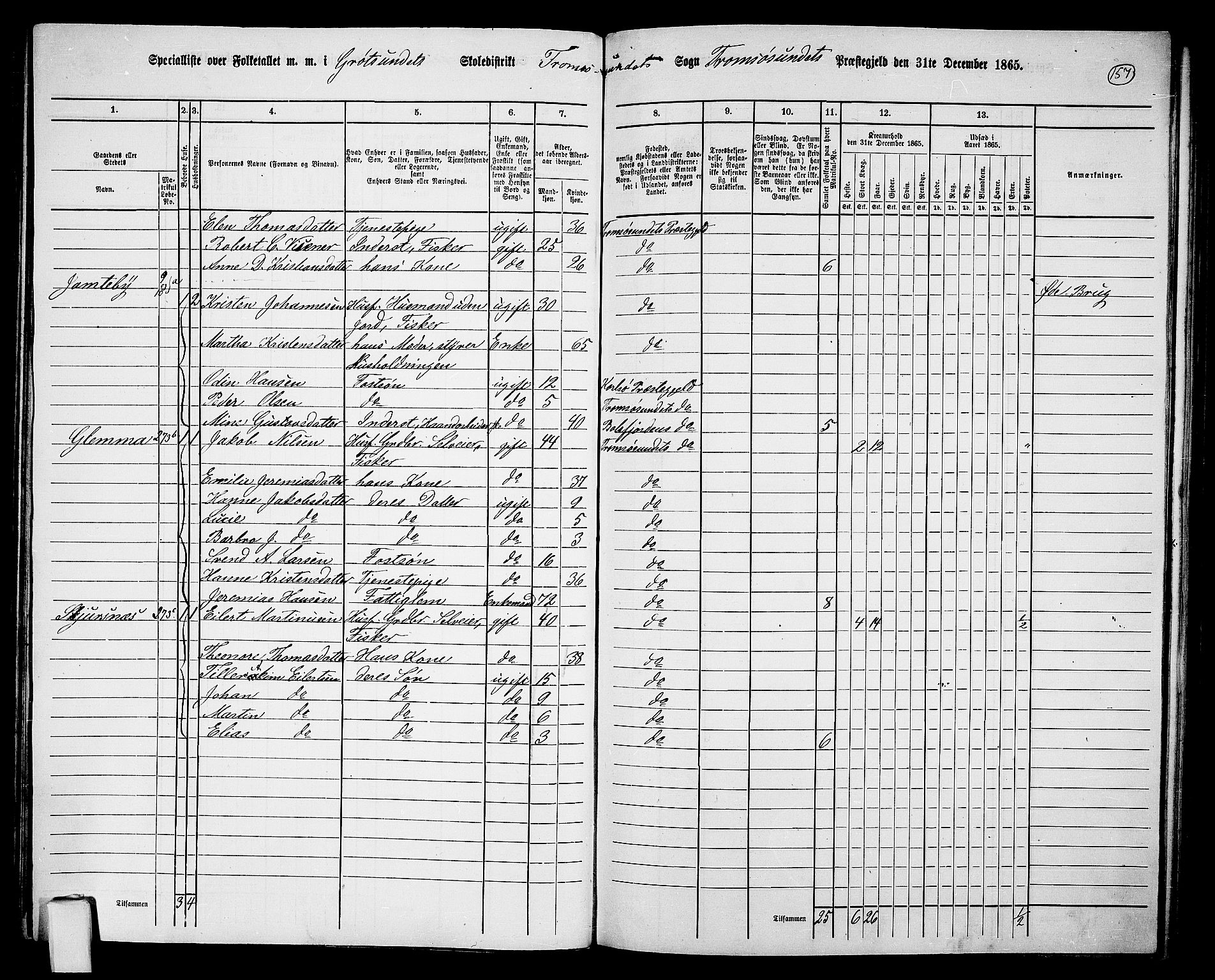 RA, 1865 census for Tromsøysund, 1865, p. 132