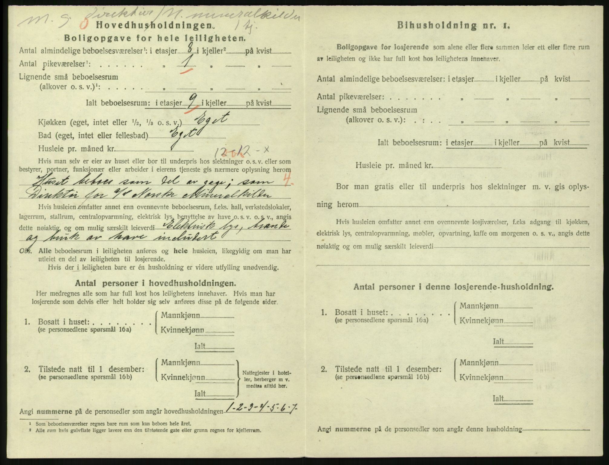 SAKO, 1920 census for Larvik, 1920, p. 4249