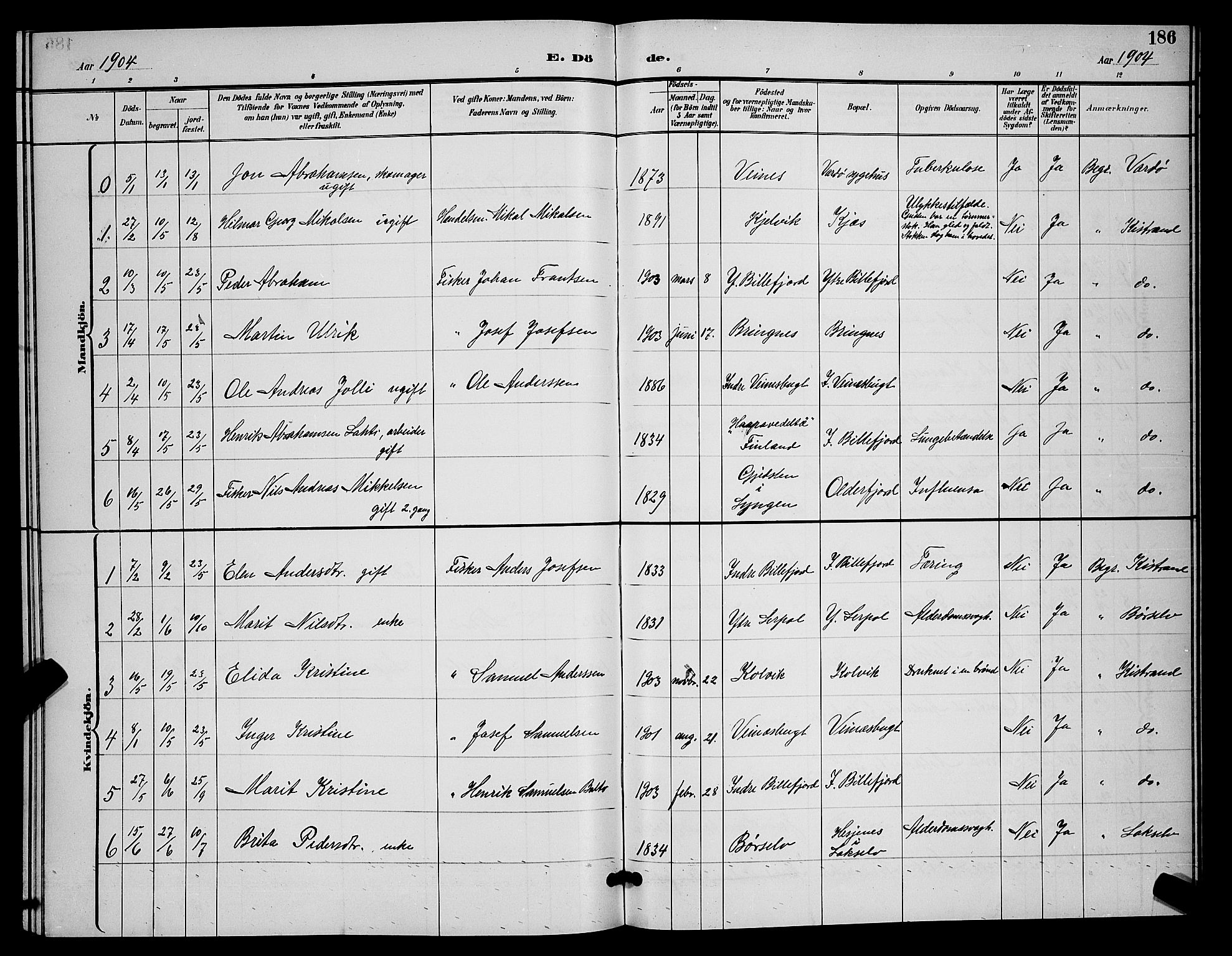 Kistrand/Porsanger sokneprestembete, AV/SATØ-S-1351/H/Hb/L0005.klokk: Parish register (copy) no. 5, 1895-1904, p. 186