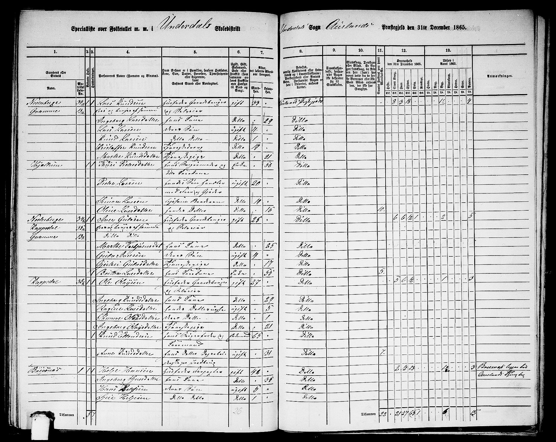 RA, 1865 census for Aurland, 1865, p. 91