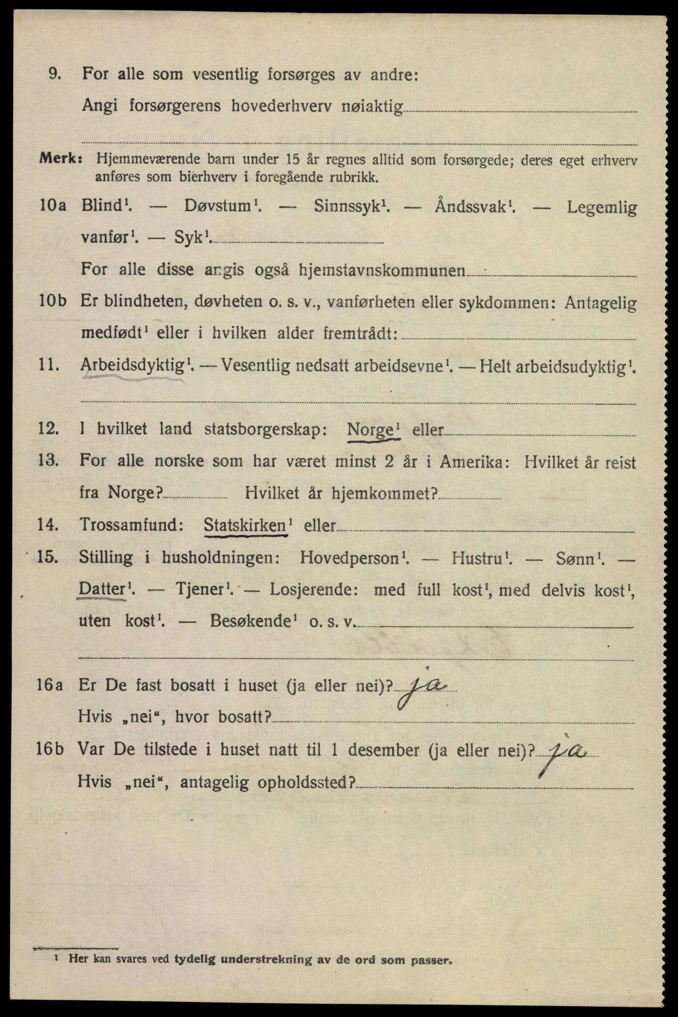 SAKO, 1920 census for Horten, 1920, p. 9740