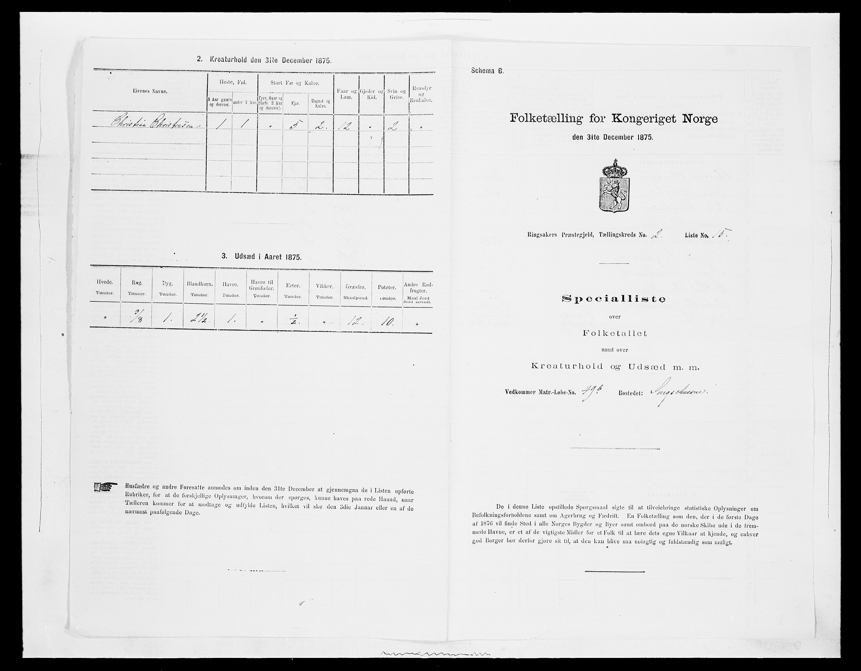 SAH, 1875 census for 0412P Ringsaker, 1875, p. 465