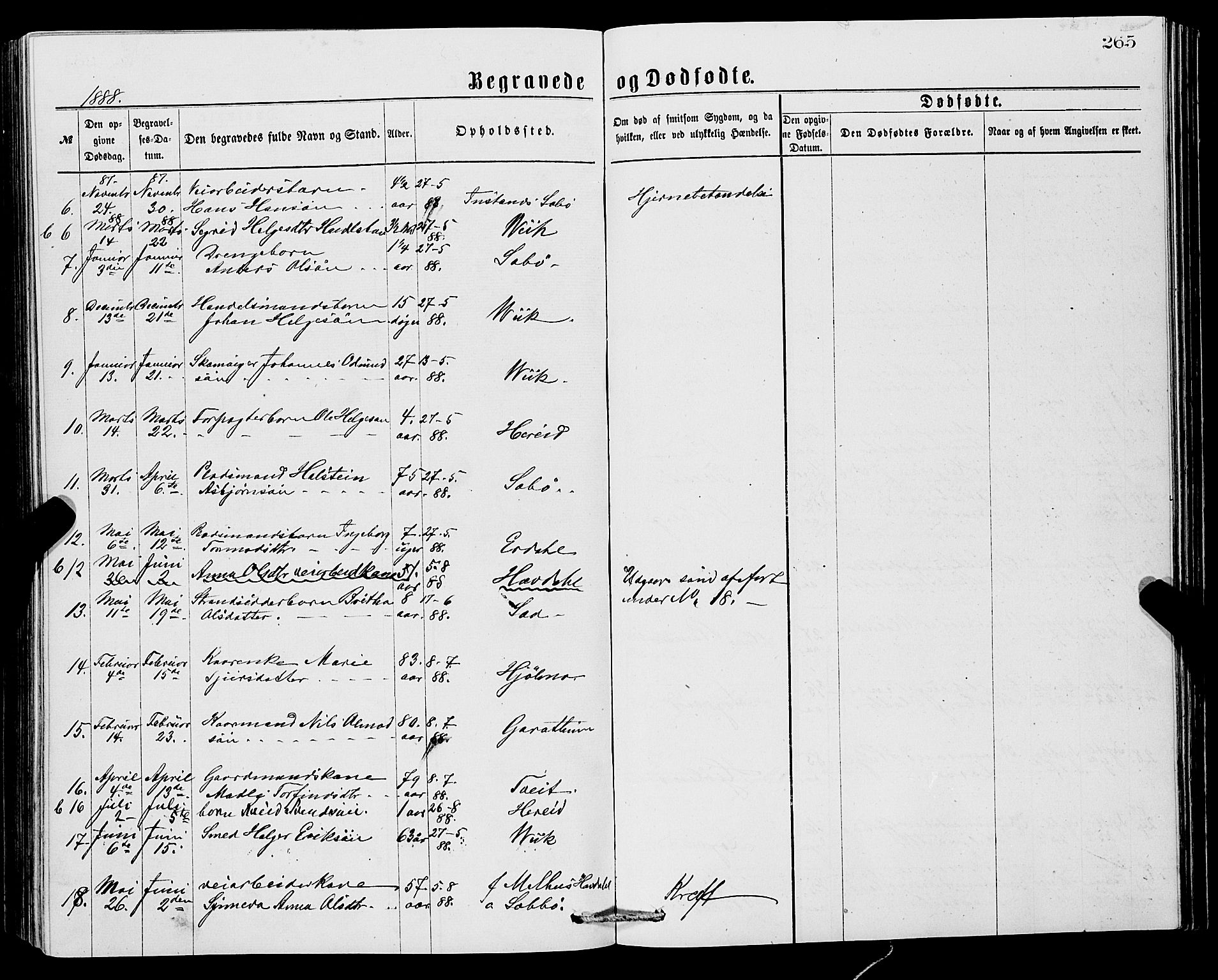 Ullensvang sokneprestembete, SAB/A-78701/H/Hab: Parish register (copy) no. C 2, 1871-1899, p. 265