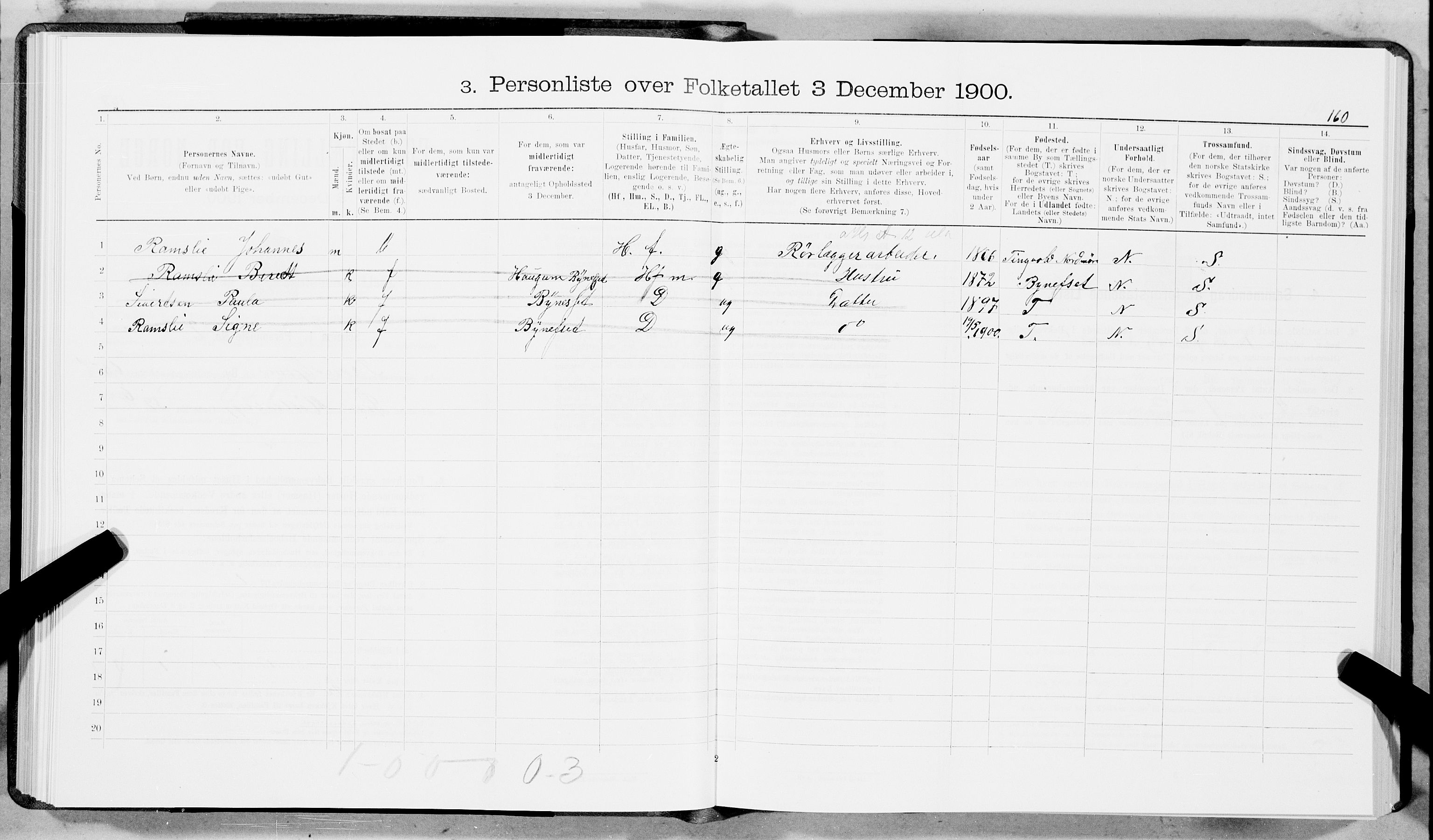 SAT, 1900 census for Trondheim, 1900, p. 11466